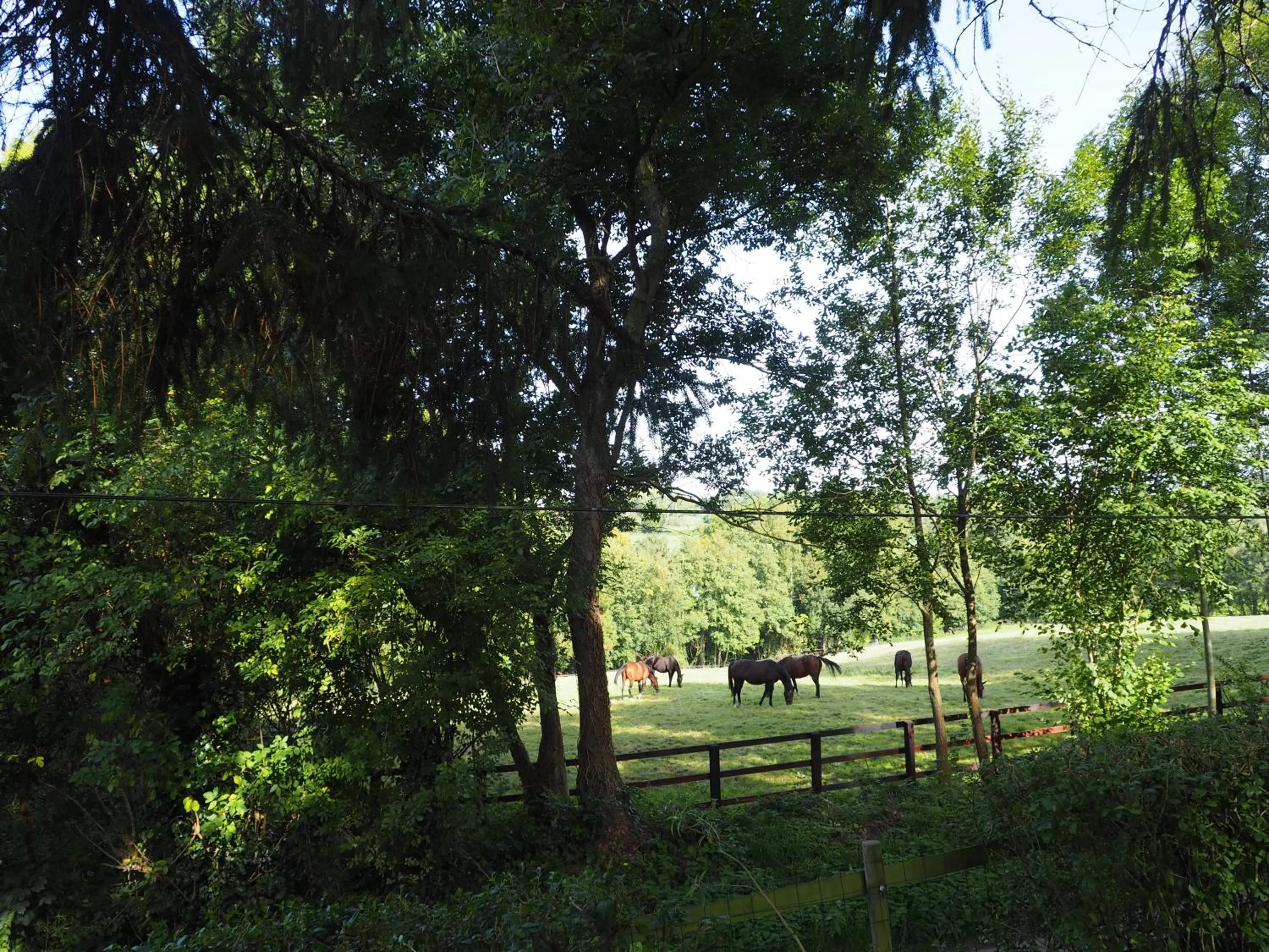 Hiking in Cour Tholmer