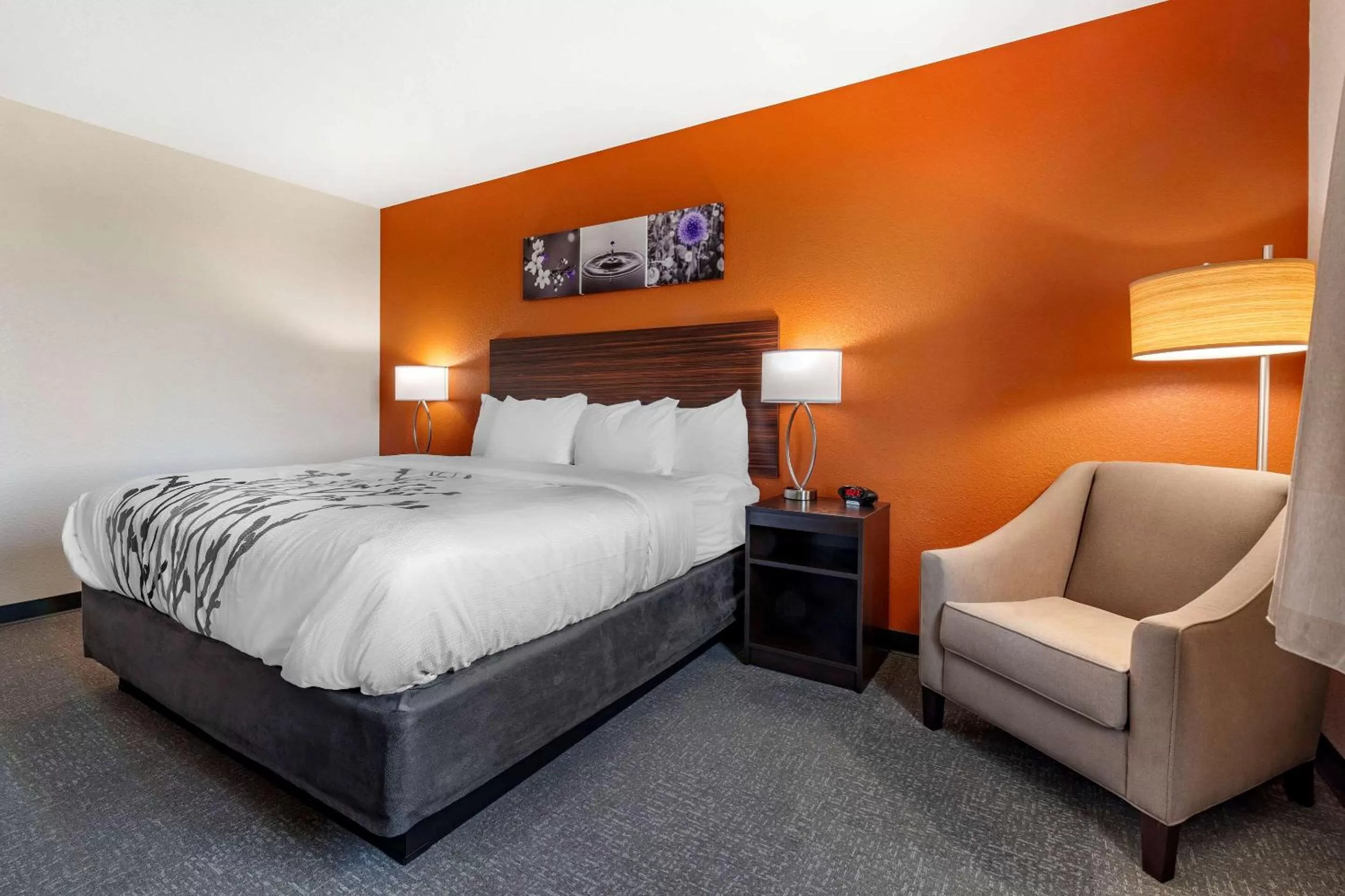 Photo of the whole room, Bed in Sleep Inn & Suites Lancaster-Platteville