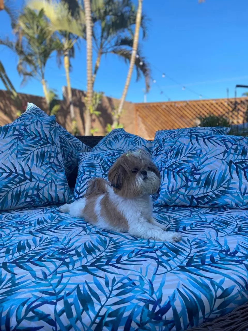 Hotel & Pousada Favareto