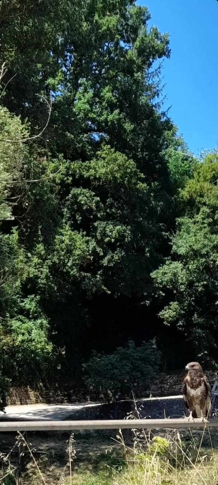 Masseria boutique b&b