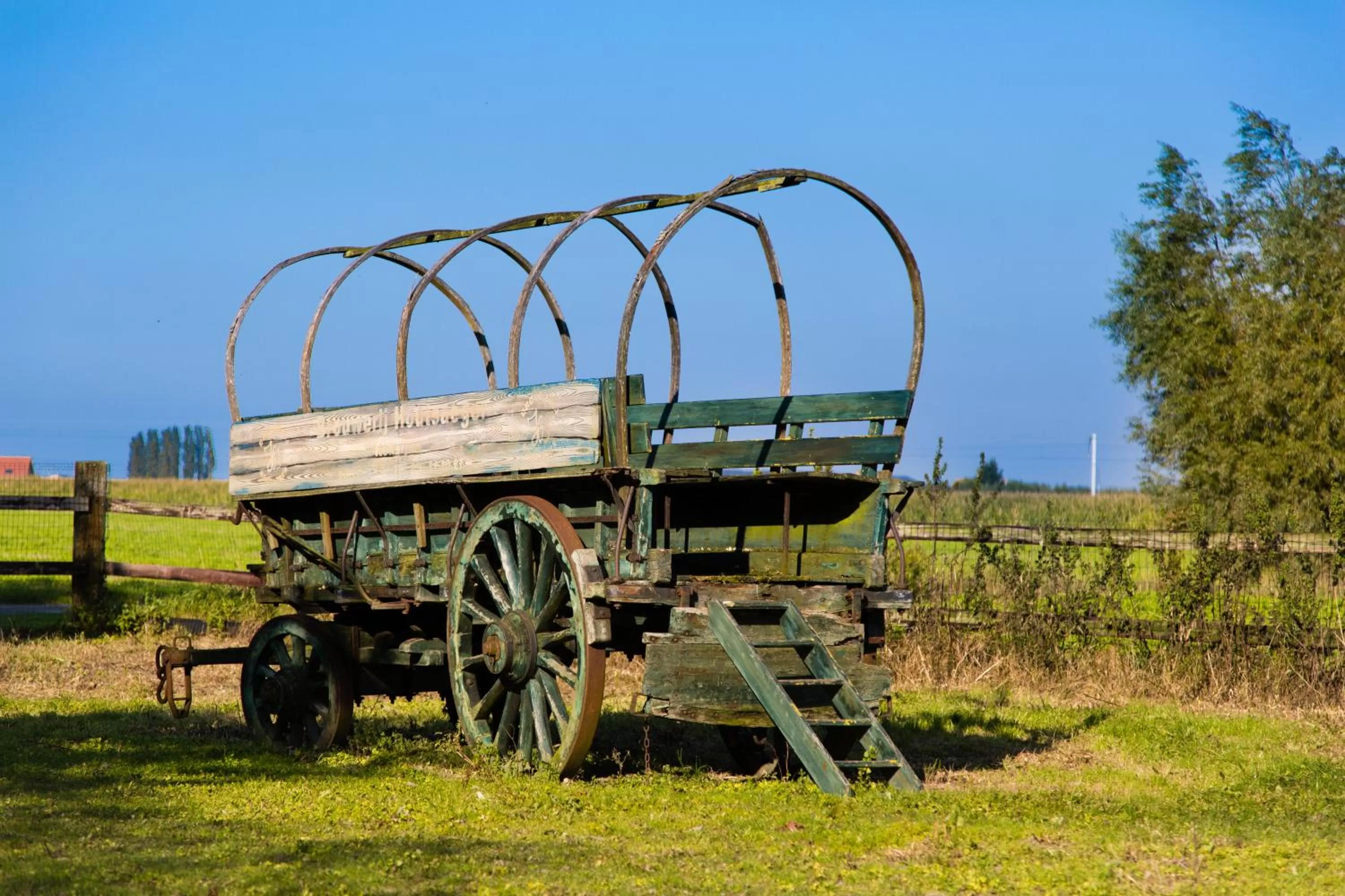 Garden in B&B Het Schaliënhof