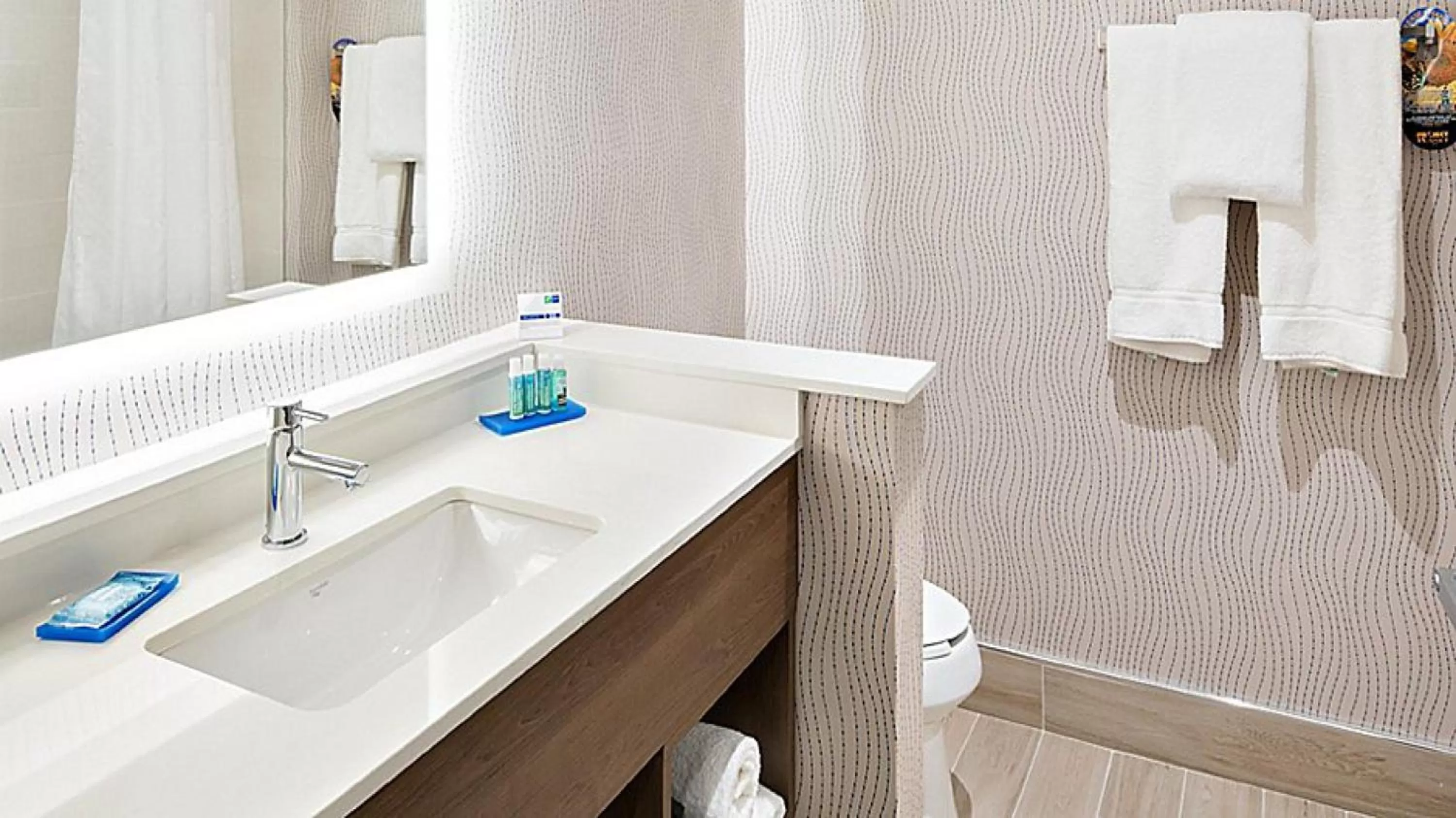 Bathroom in Holiday Inn Express Hotel & Suites Mount Pleasant by IHG
