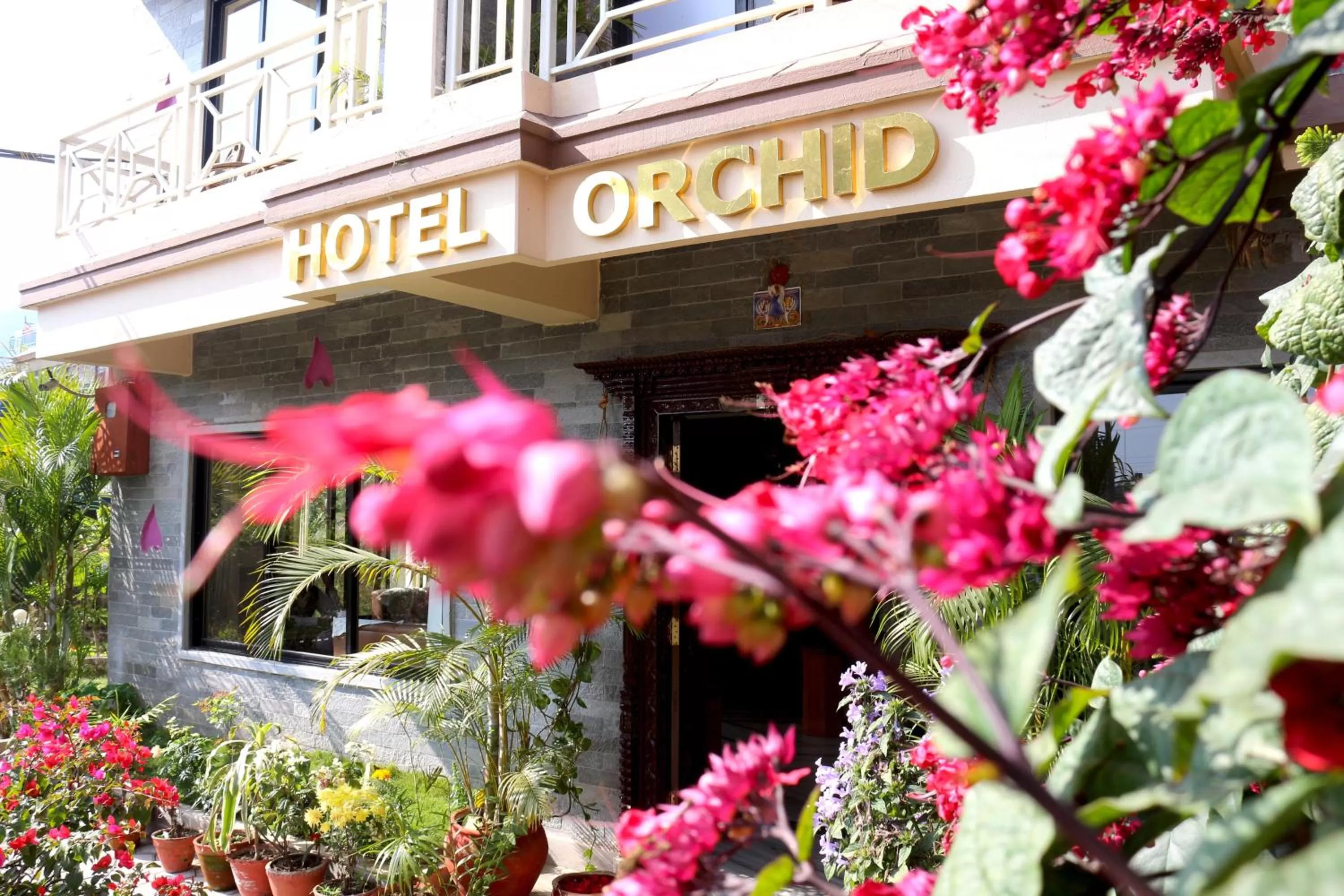 Garden in Hotel Orchid