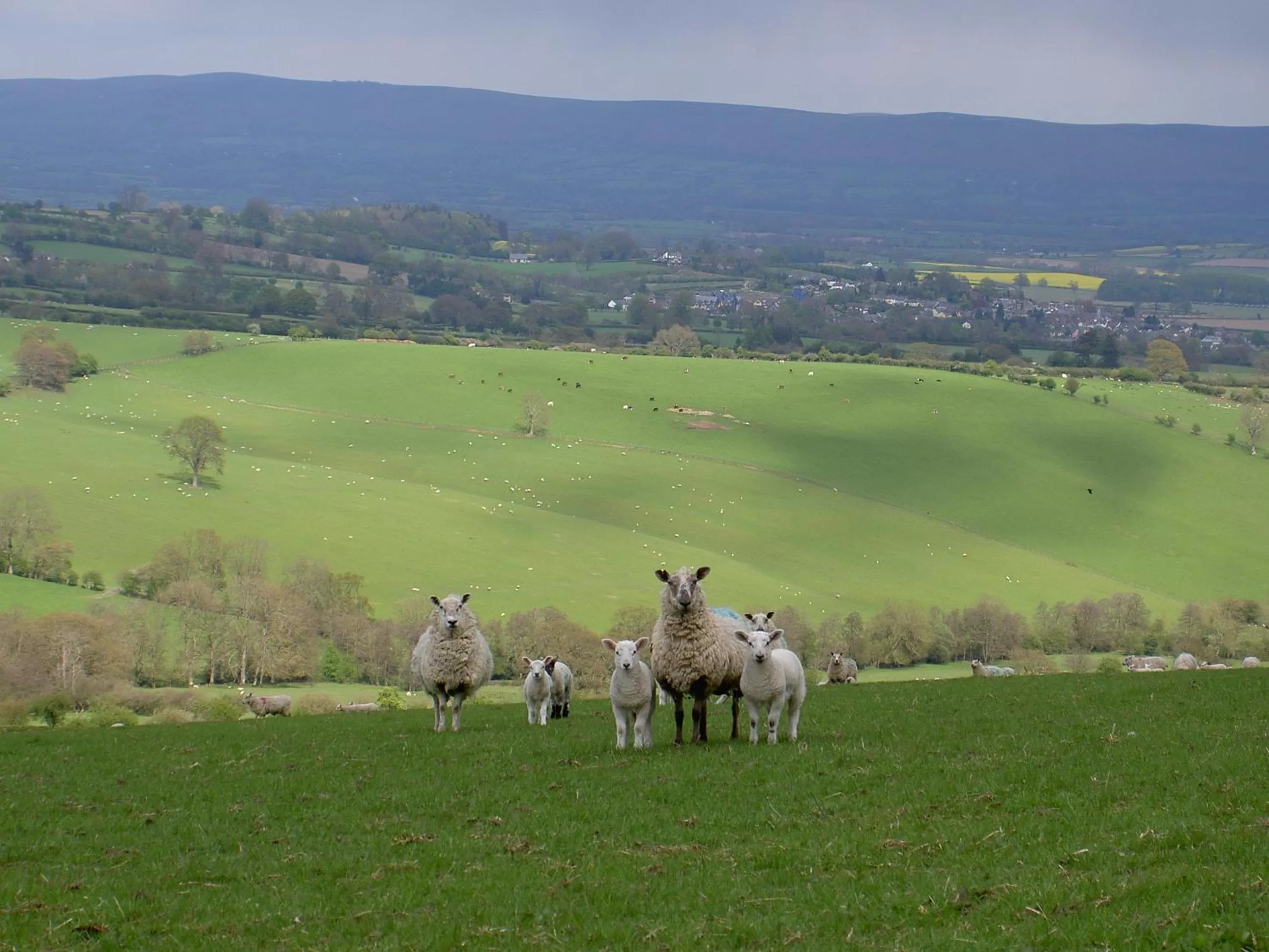 Property building in Middle Woodbatch B&B
