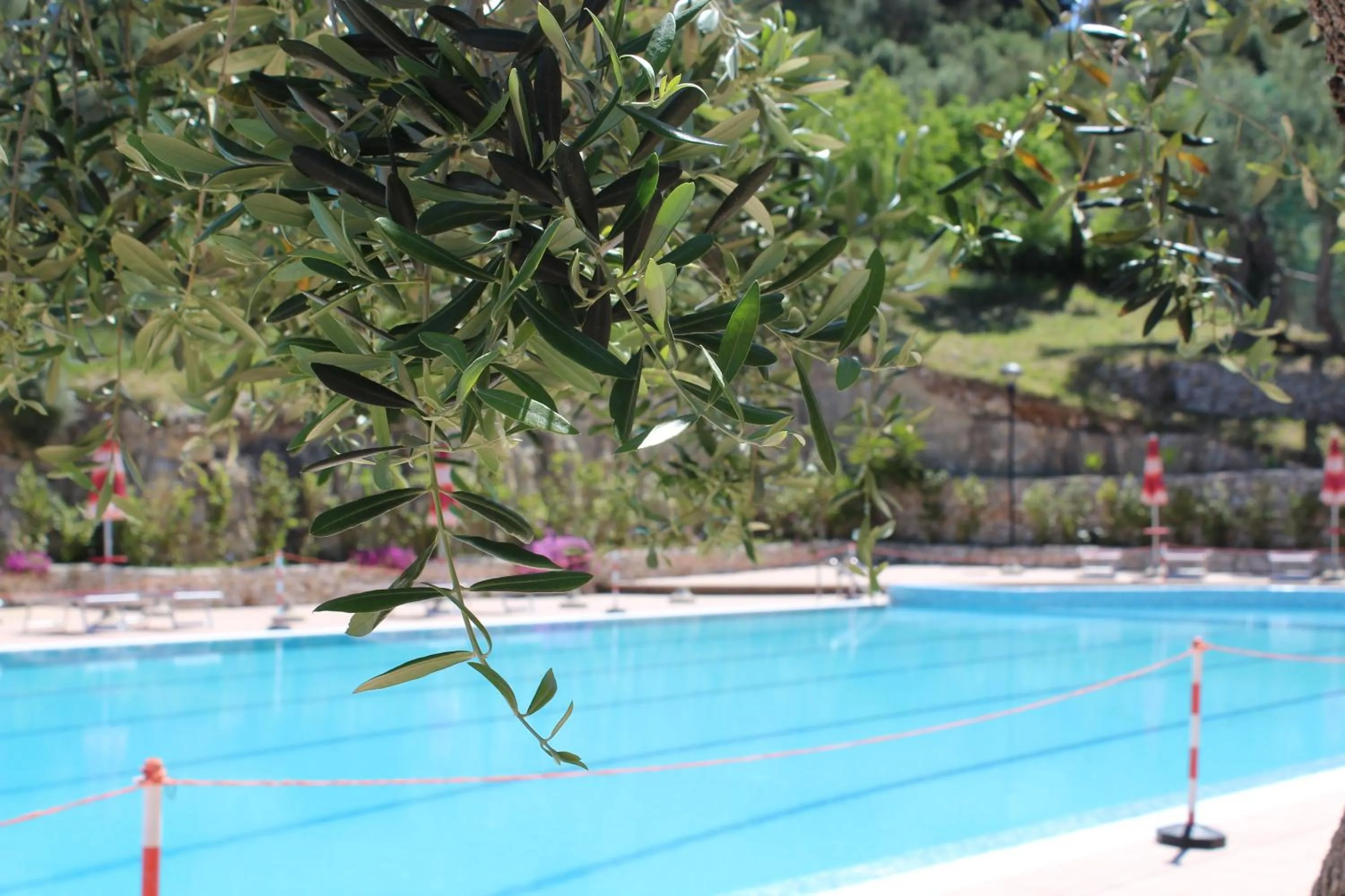 Swimming pool in Hotel Delle More