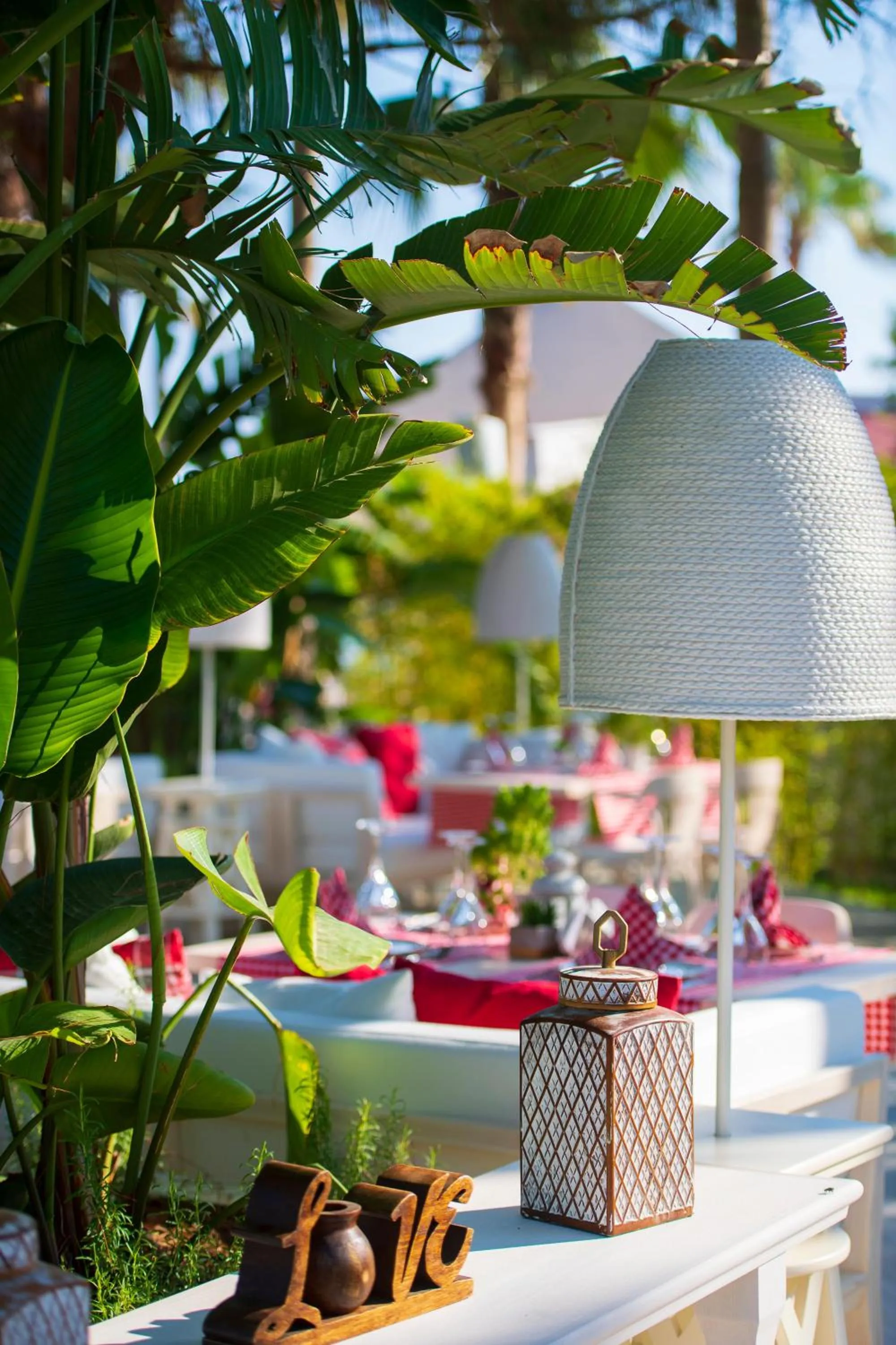 Restaurant/places to eat in Miramare Beach Hotel - Ultra All Inclusive