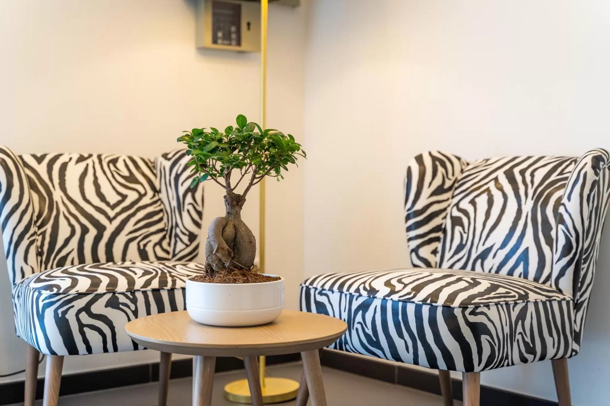 Lobby or reception in Hotel No151