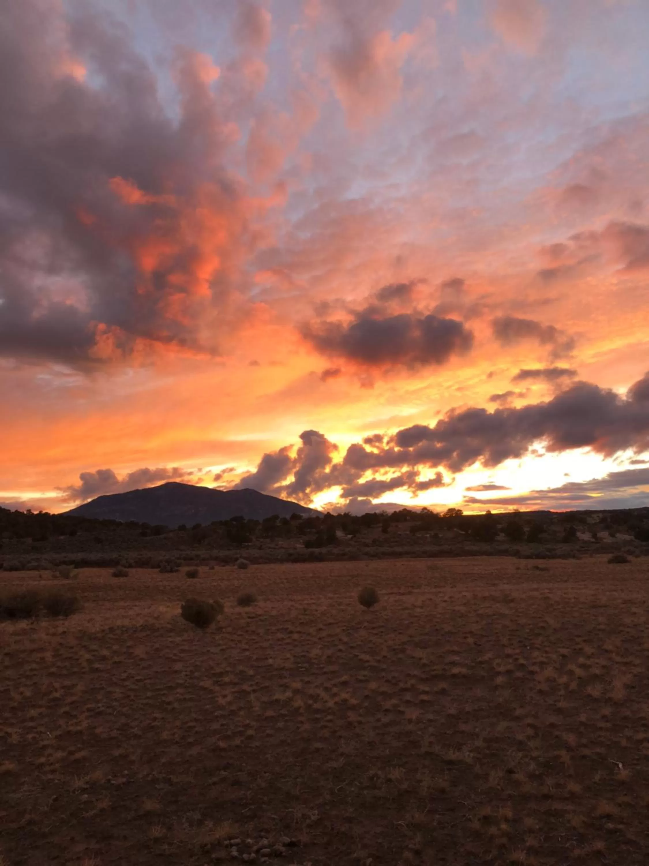 View (from property/room) in Cedar Canyon Condos