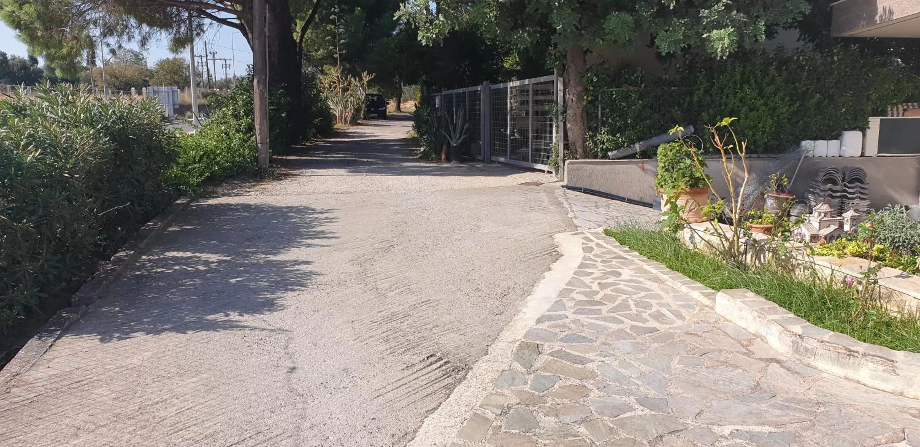 Property building in Alexia's Apartments