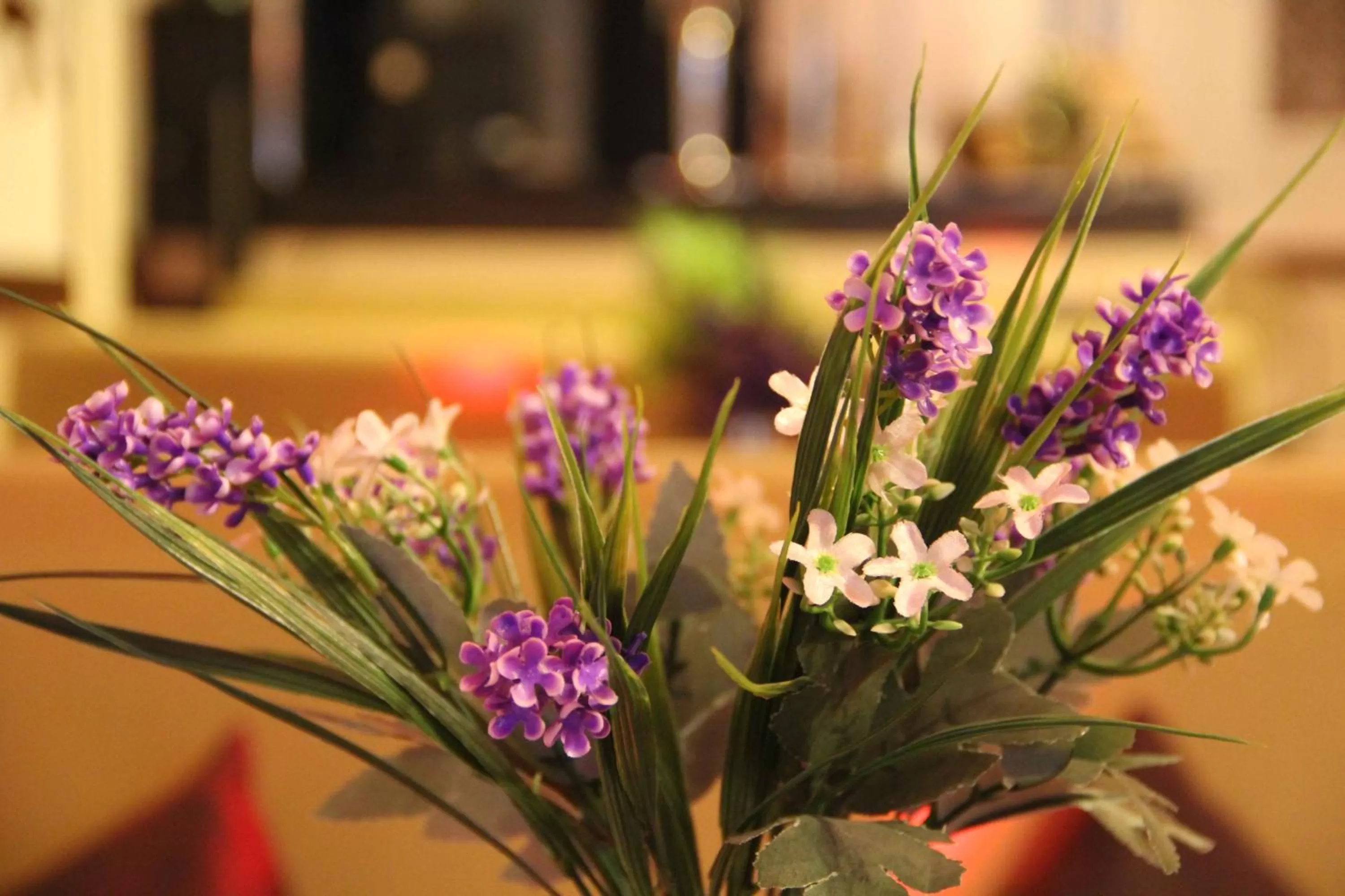 Food and drinks in Astina Hotel