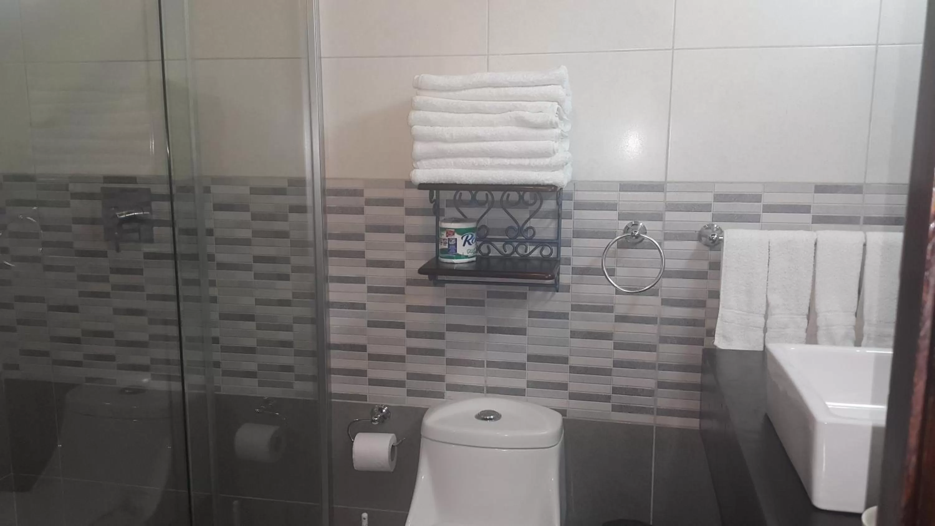 Toilet in Hotel El Maltese