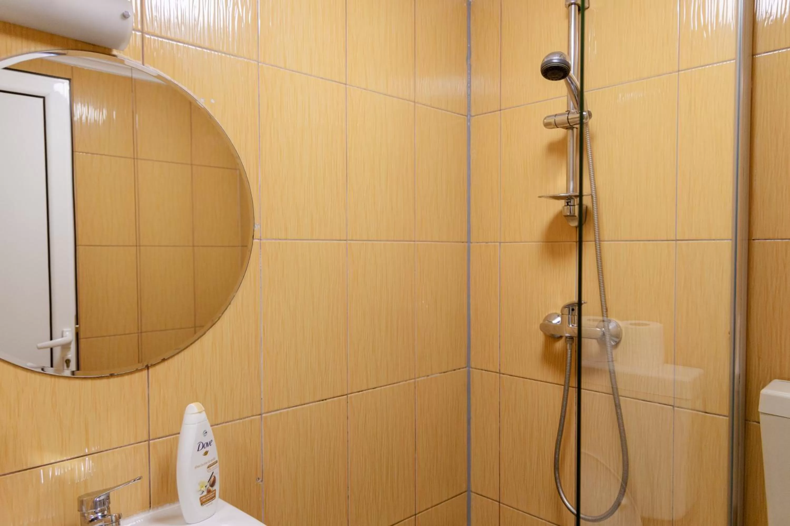 Bathroom in Pensiunea Pictorilor