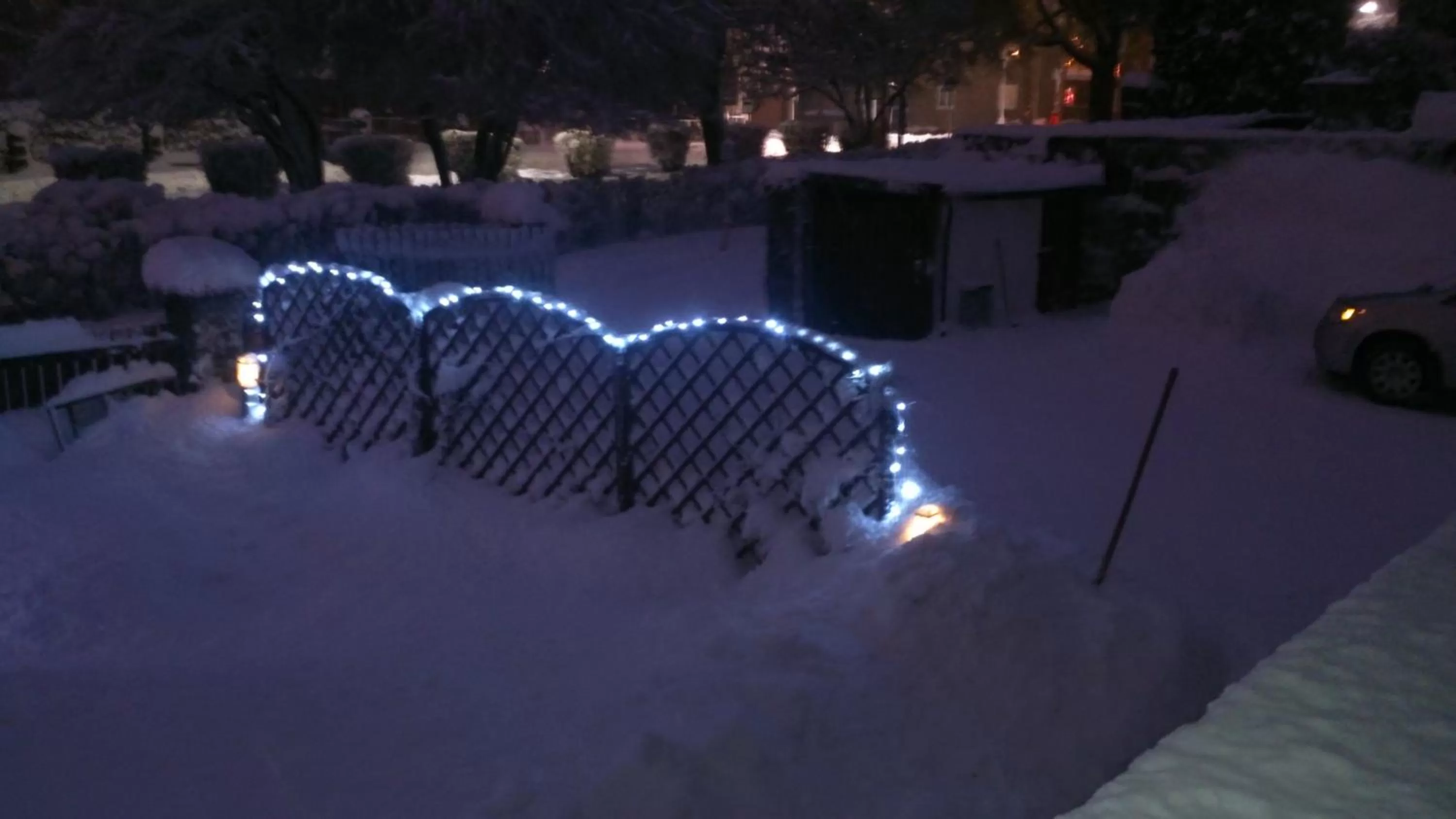 Garden, Bird's-eye View in Hotel Alfa