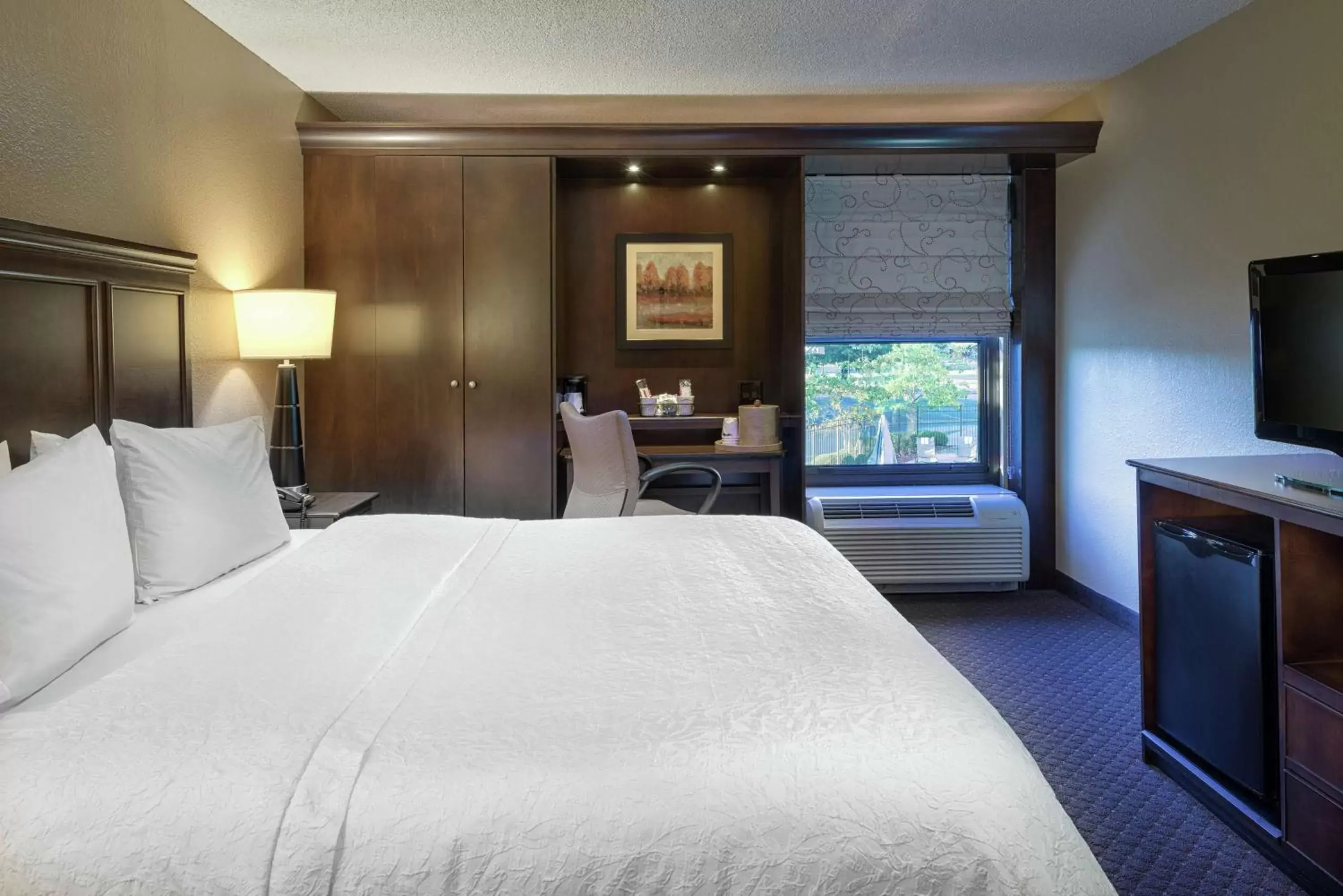 Queen Room with Roll In Shower - Disability Access in Hampton Inn Tuscaloosa-University Queen Room with Roll In Shower - Disability Access in Hampton Inn Tuscaloosa-University