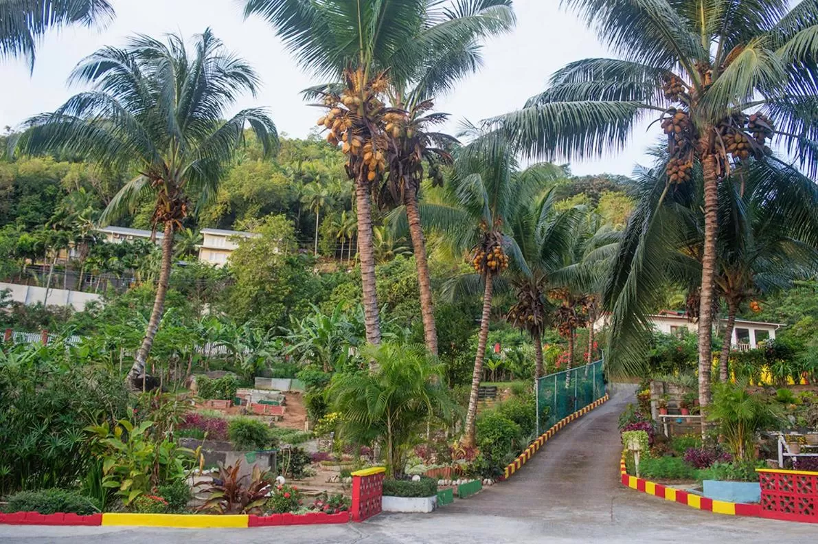 Evergreen Apartments