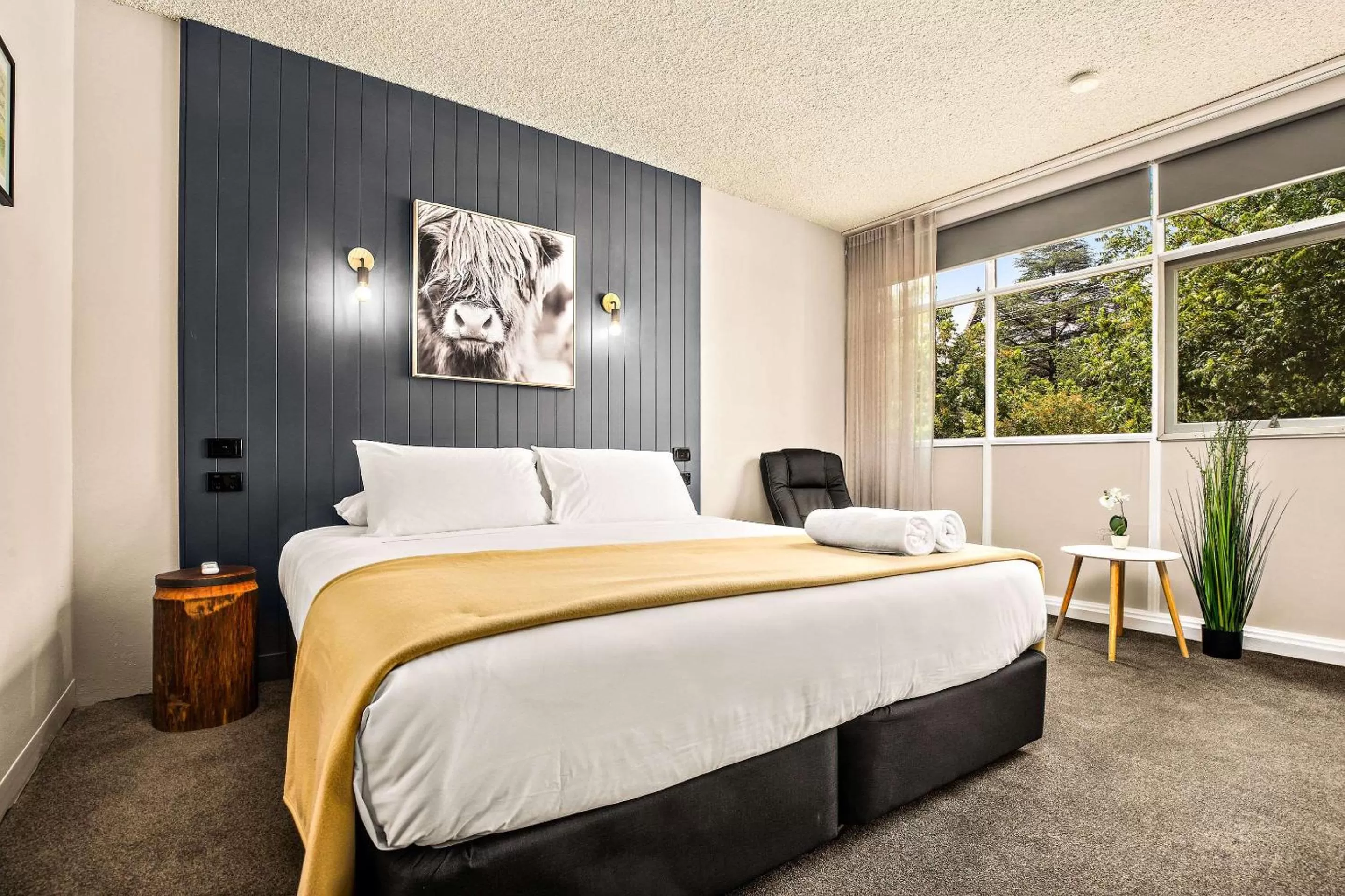 Photo of the whole room, Bed in City Centre Motel Armidale