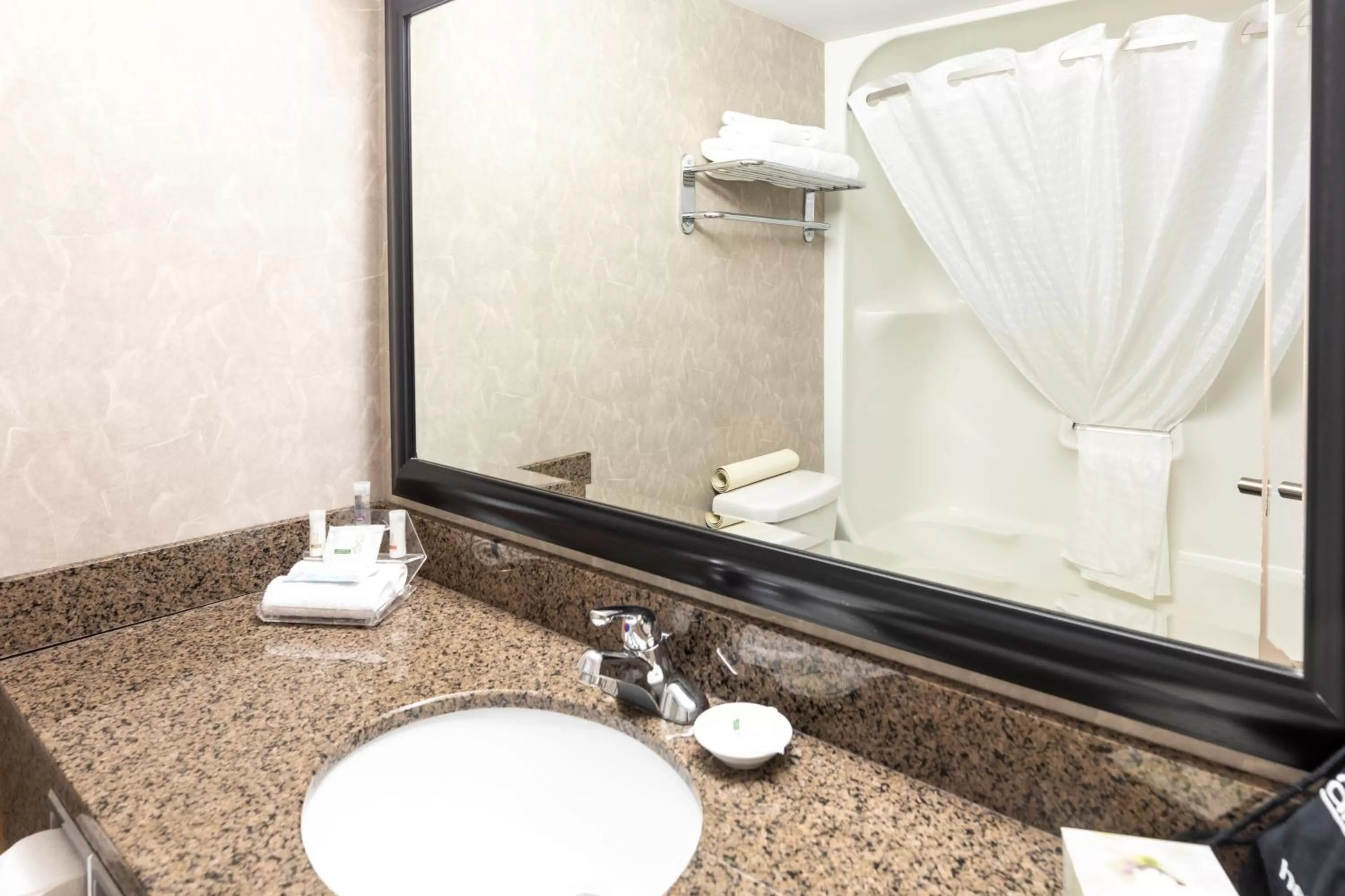 Shower in Royal Hotel West Edmonton, Trademark Collection by Wyndham