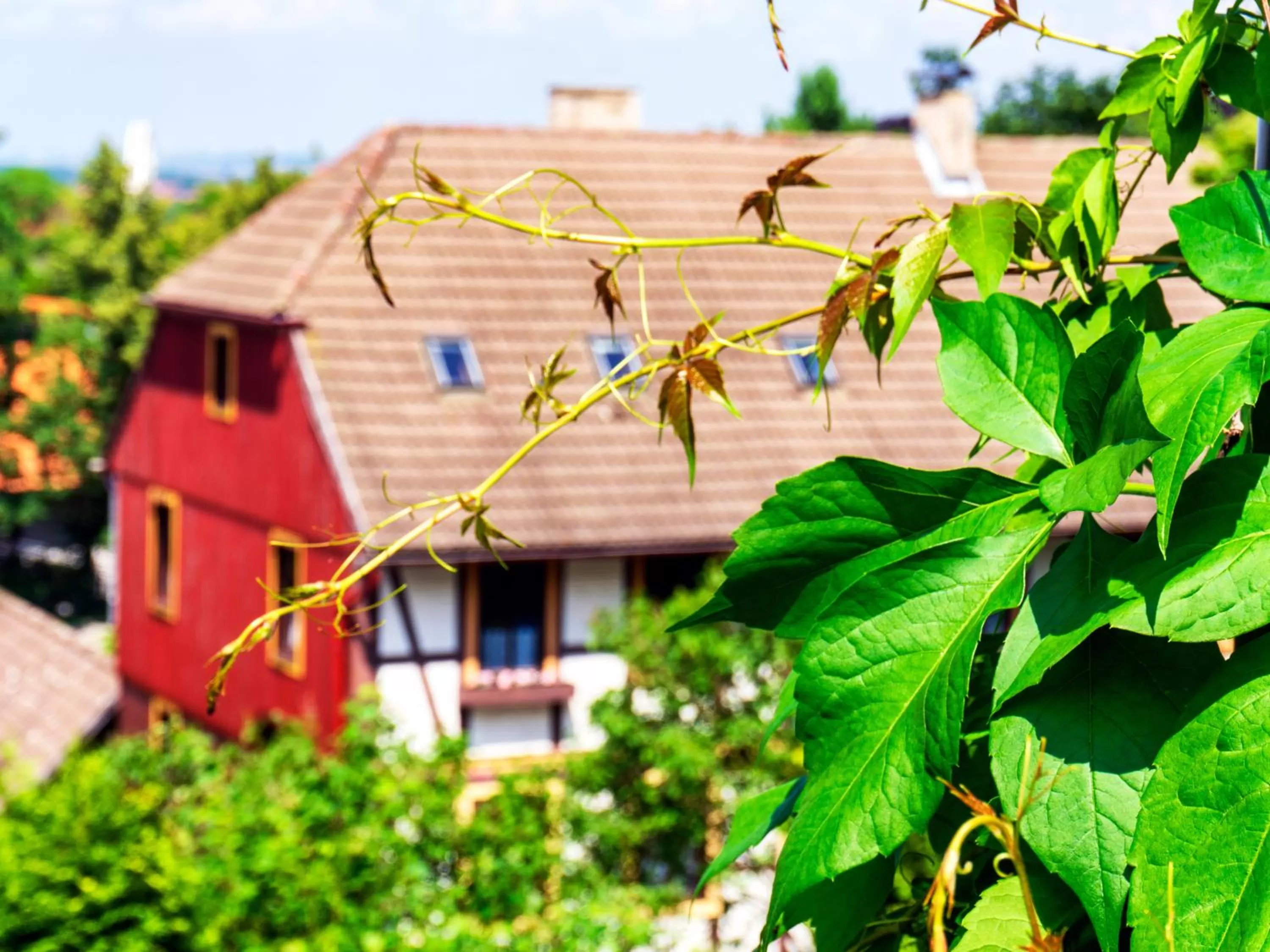 Property building in Schlossberg-Hotel Garni