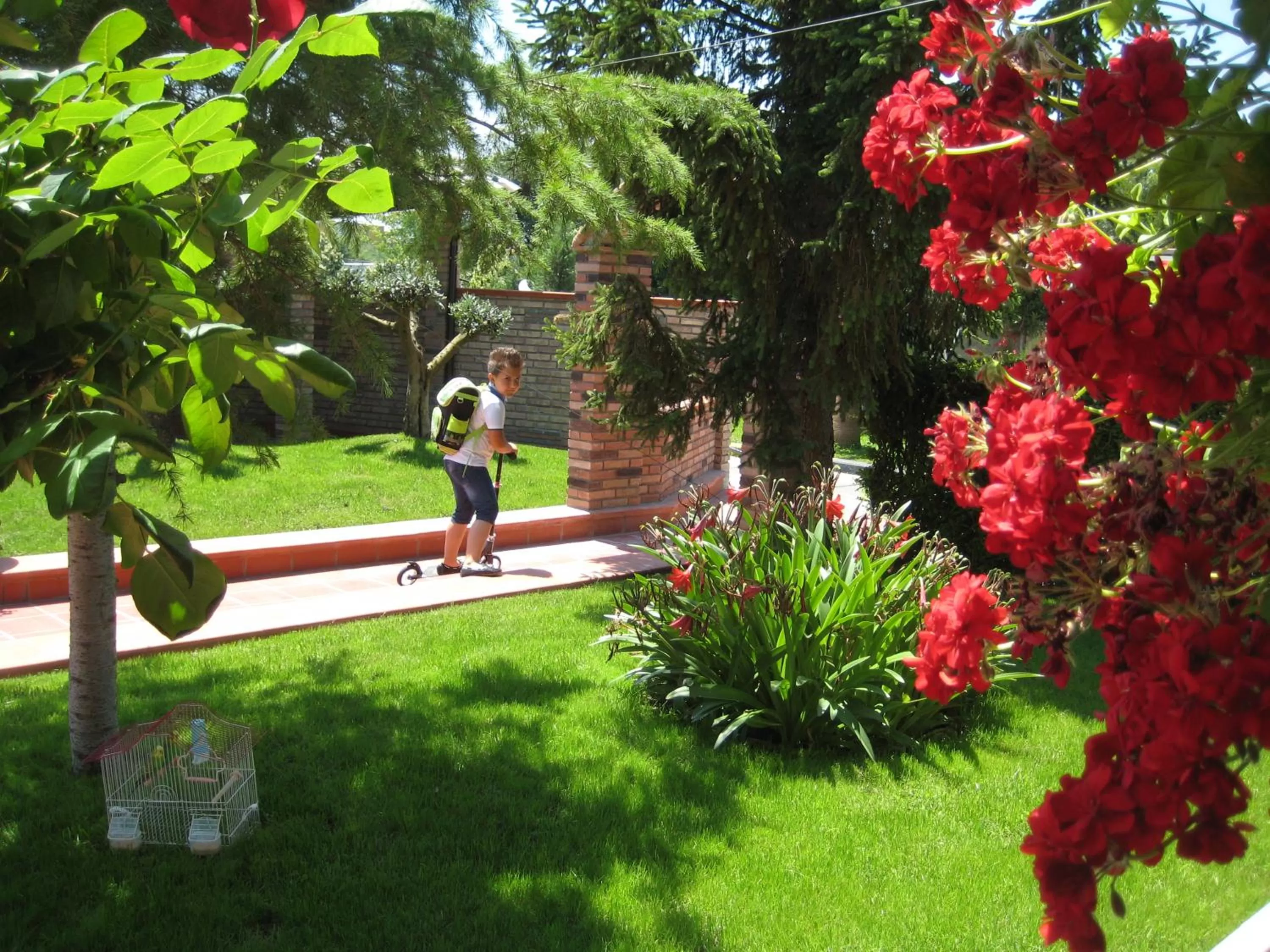 Garden in Drini Hotel