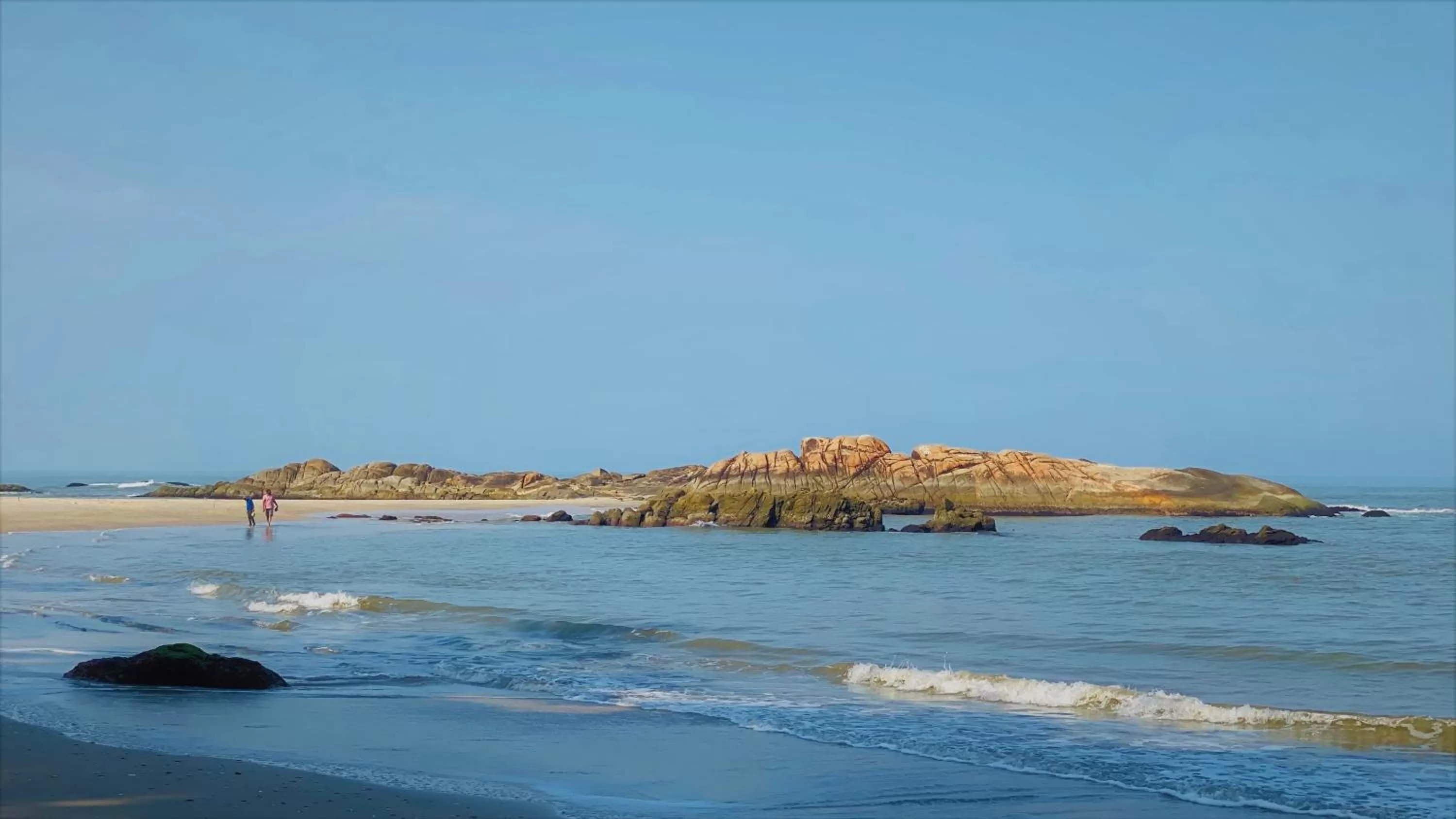 Pets in White Shell Beach House