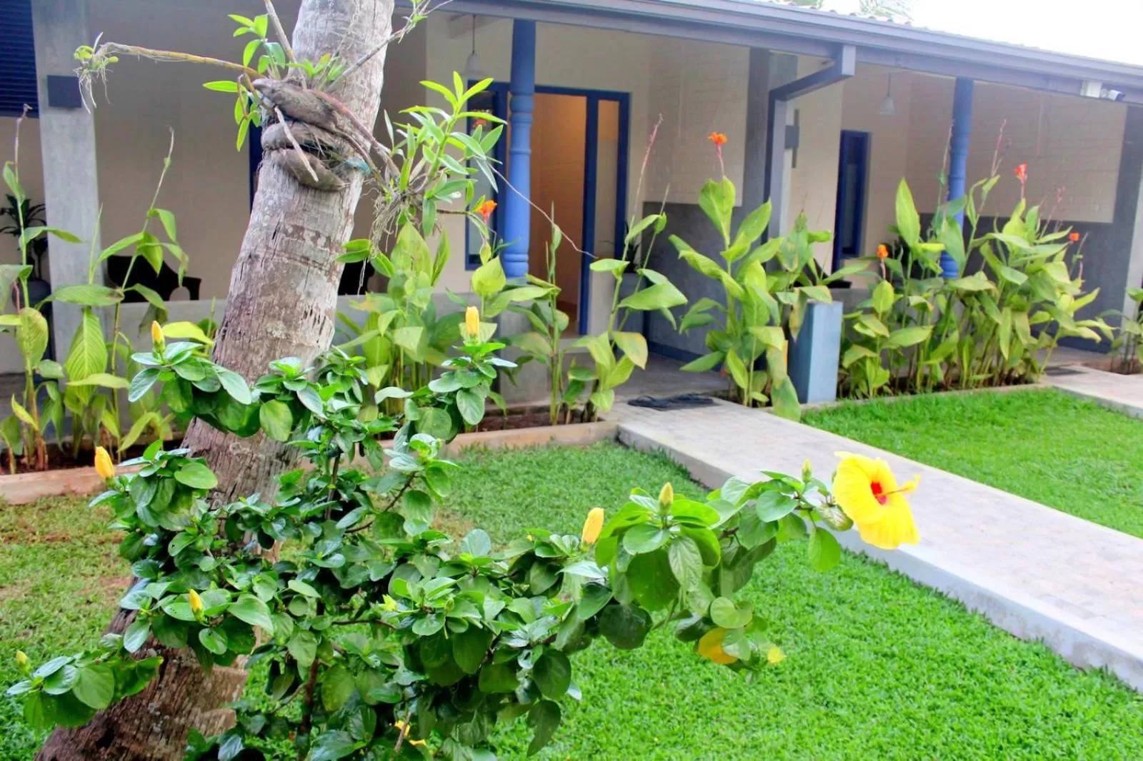 Garden in Morning Star Resorts