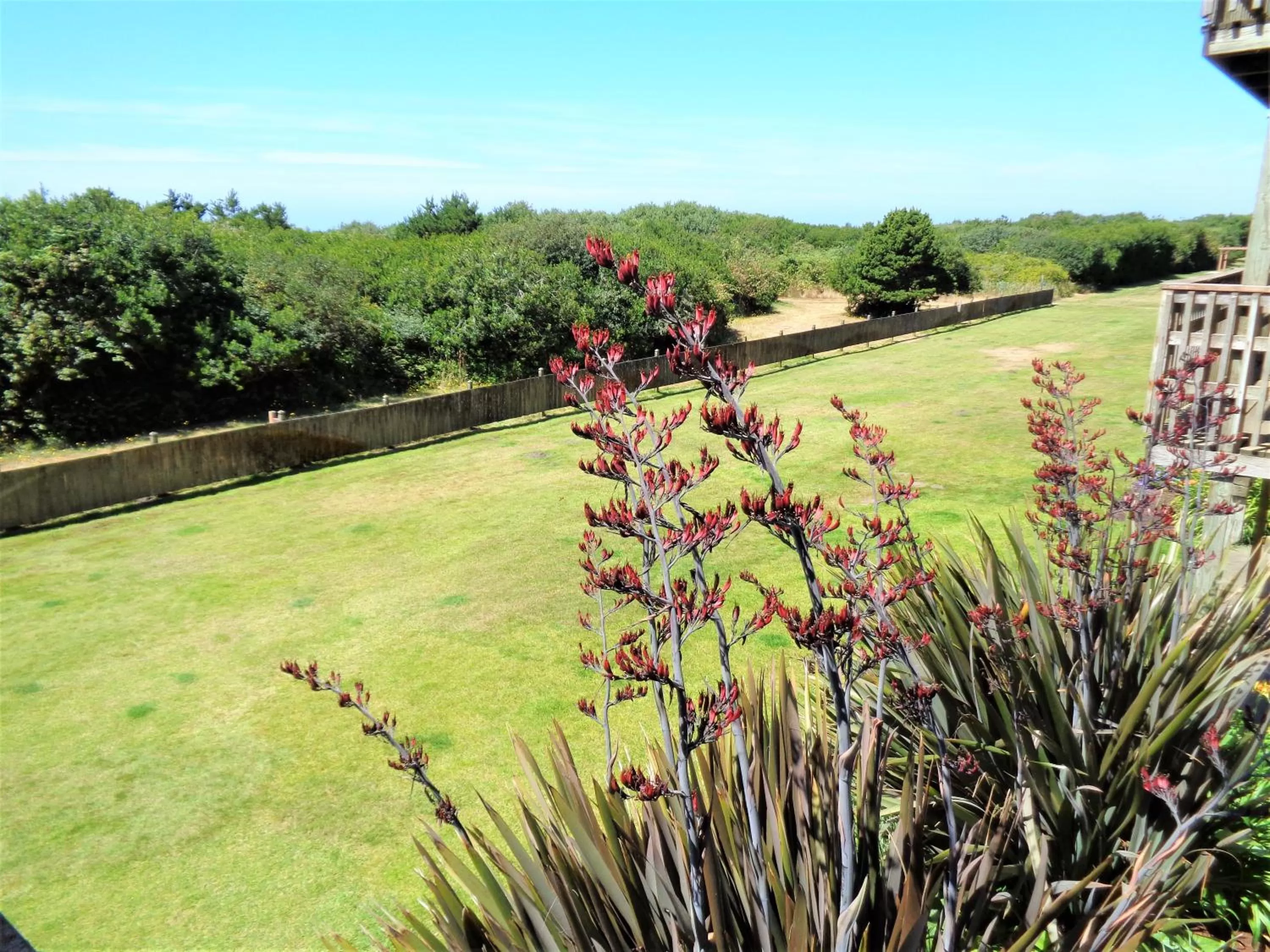Natural landscape in The Polynesian Resort