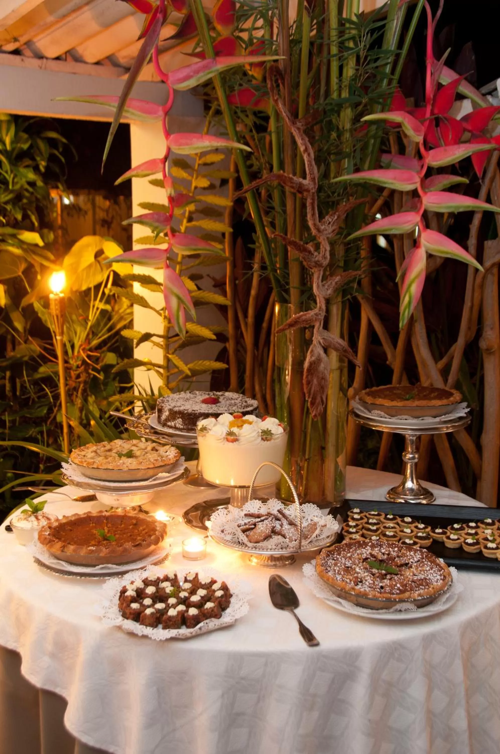 Lounge or bar in Hotel Panamonte