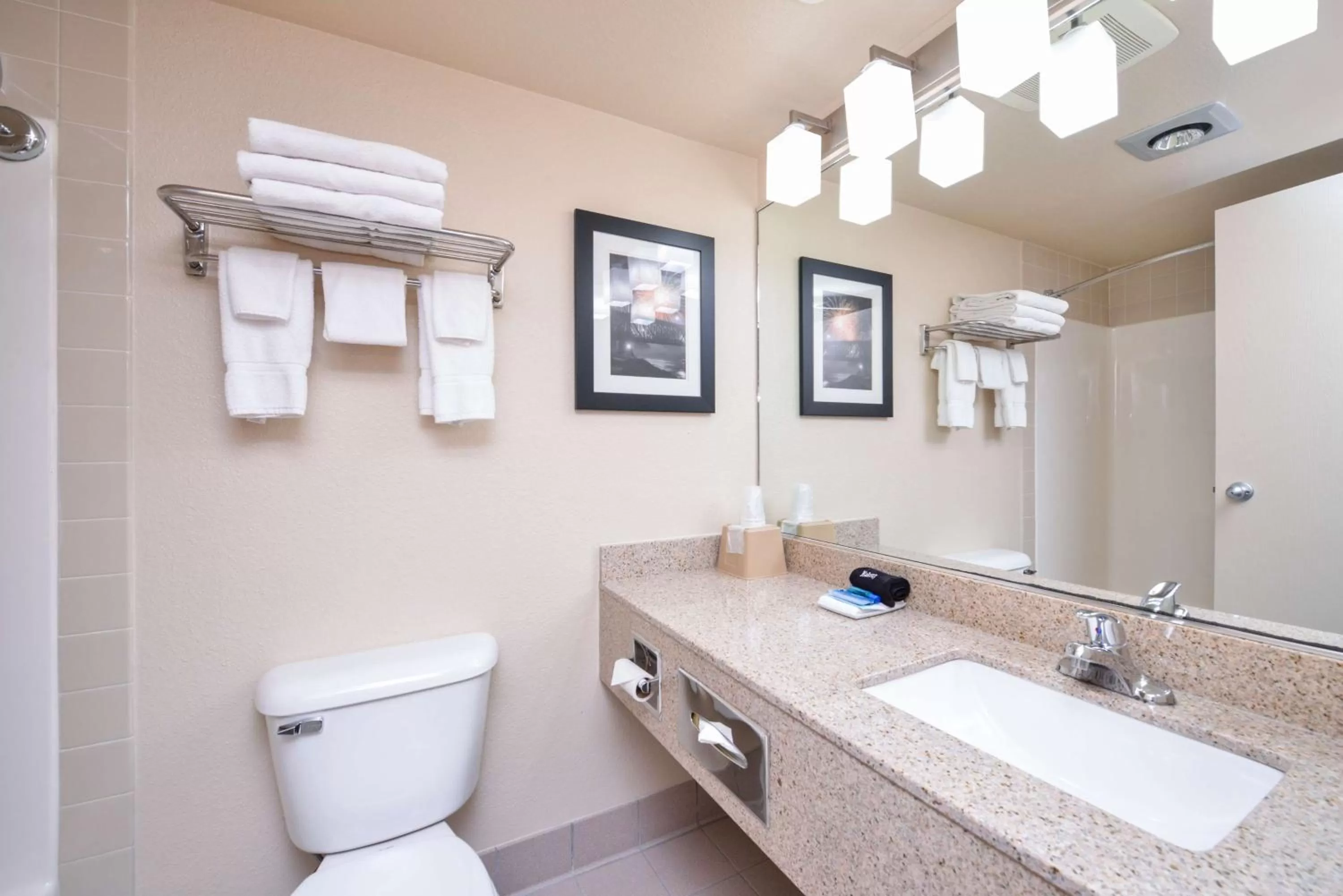 Bathroom in Best Western Kelly Inn - Yankton