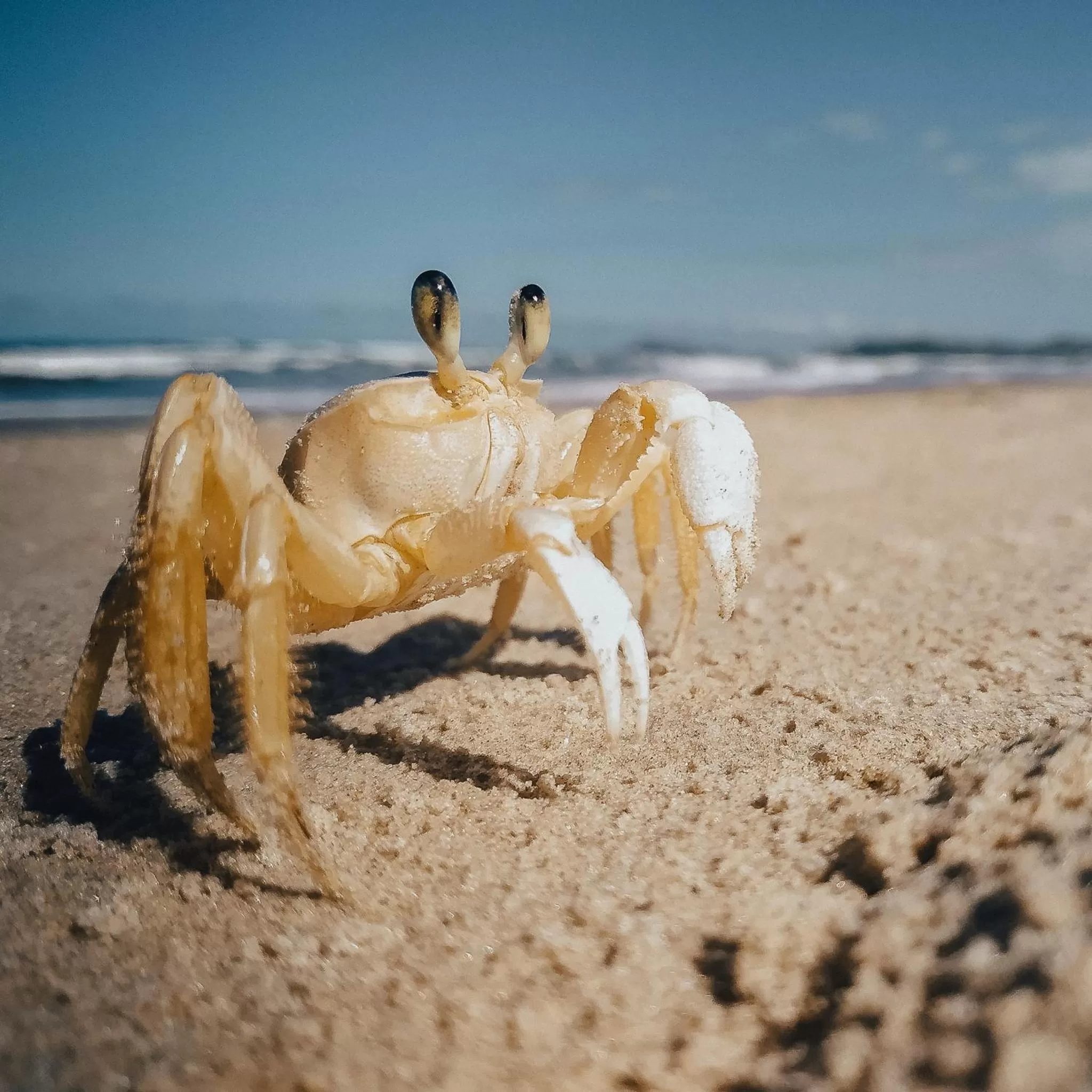 Beach in Pousada Chaday