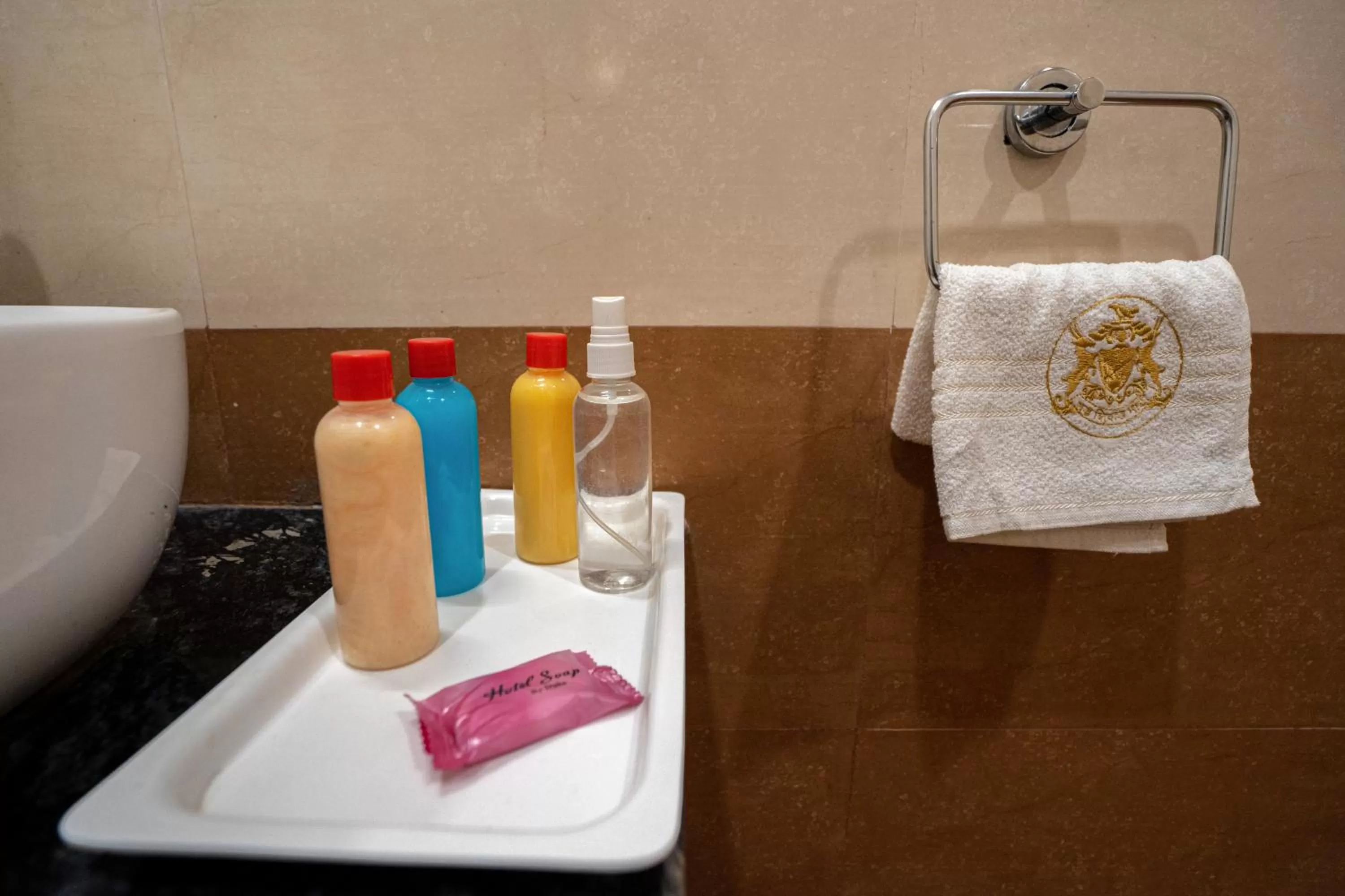 Toilet in Hotel Silver Cloud