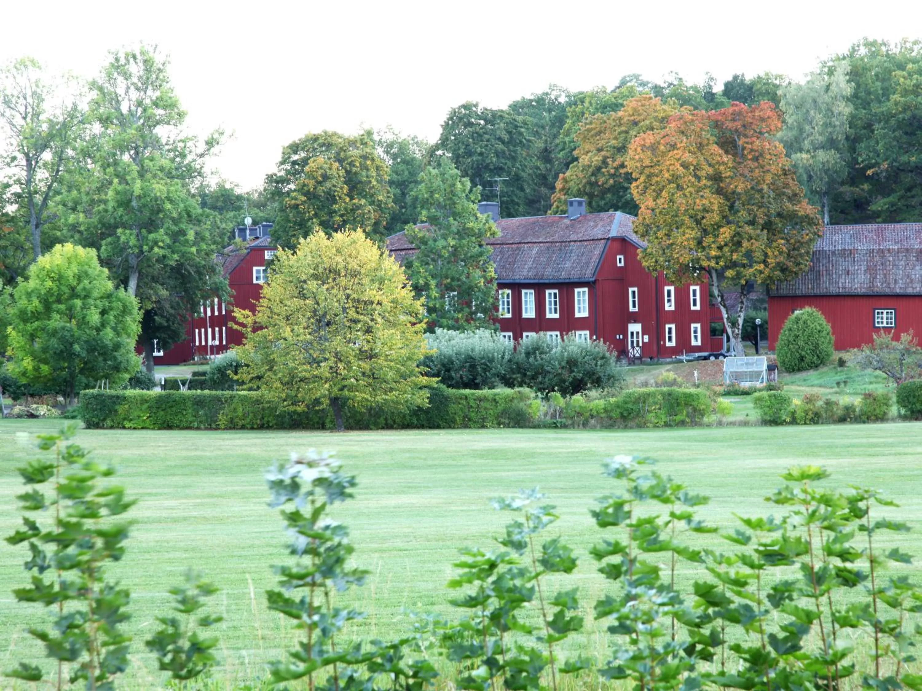 Garden in Gripsholms BnB