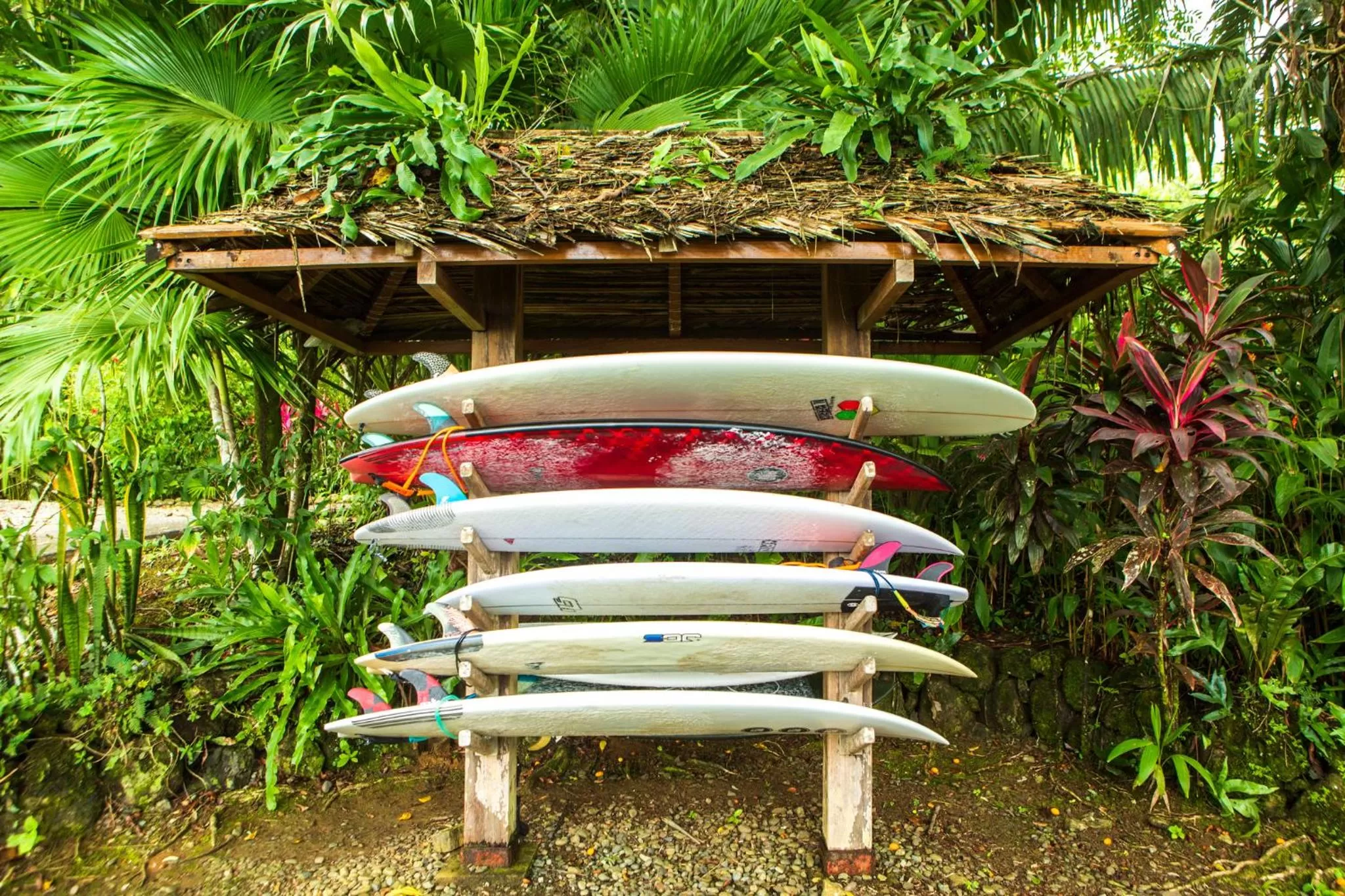 Activities in La Coralina Island House