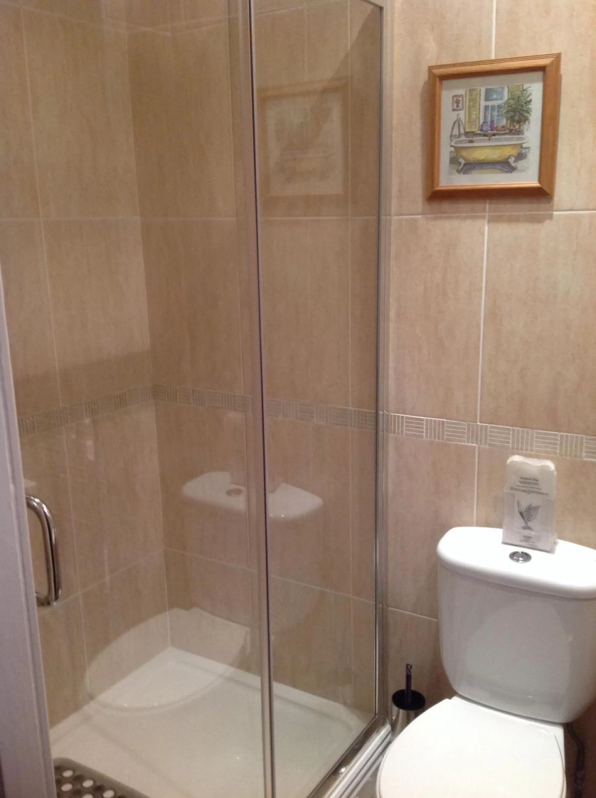 Shower in Heathfield Bed and Breakfast