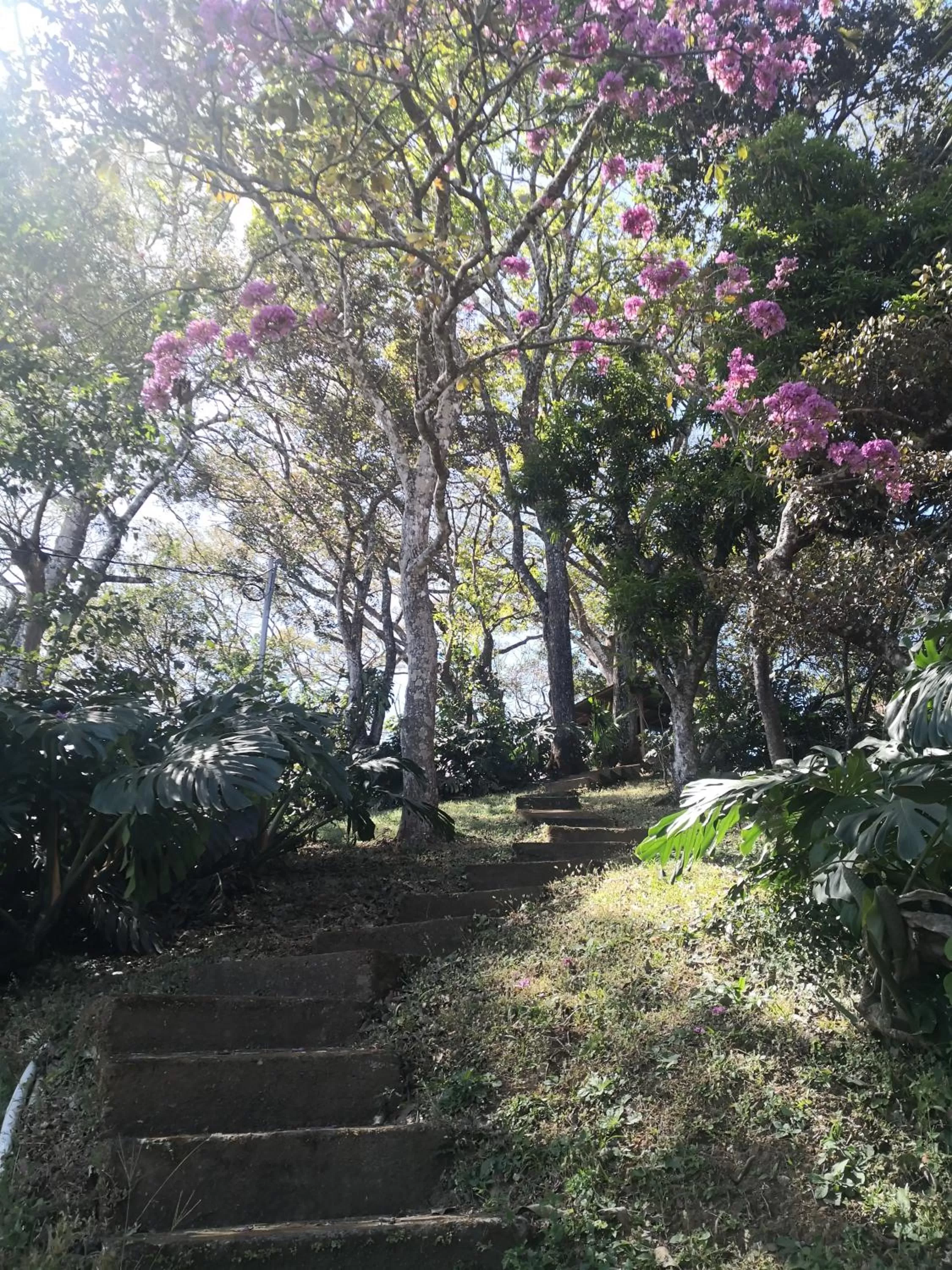 Garden in Hotel Villas de la Colina