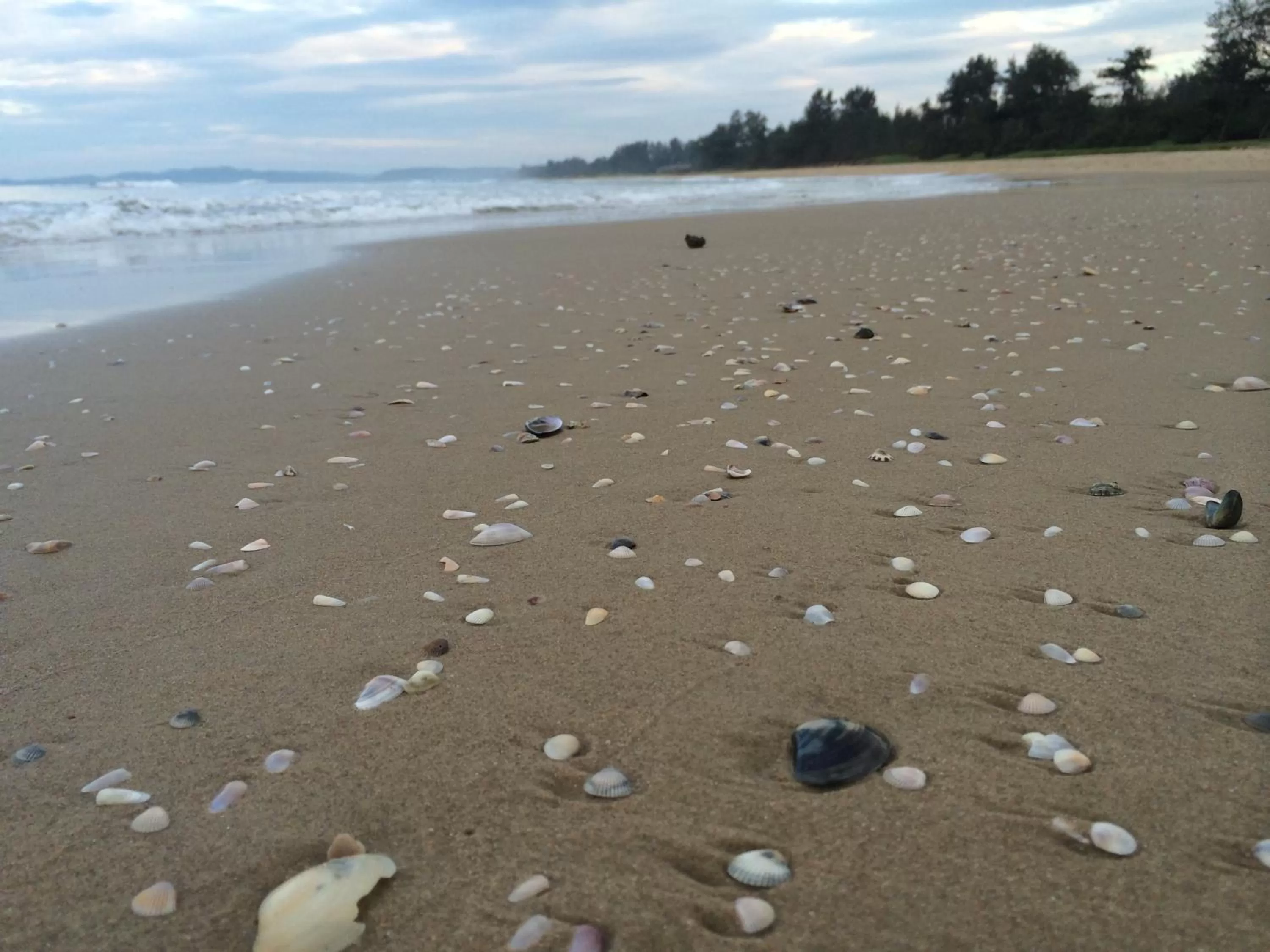 Beach in OmBodhi Retreat