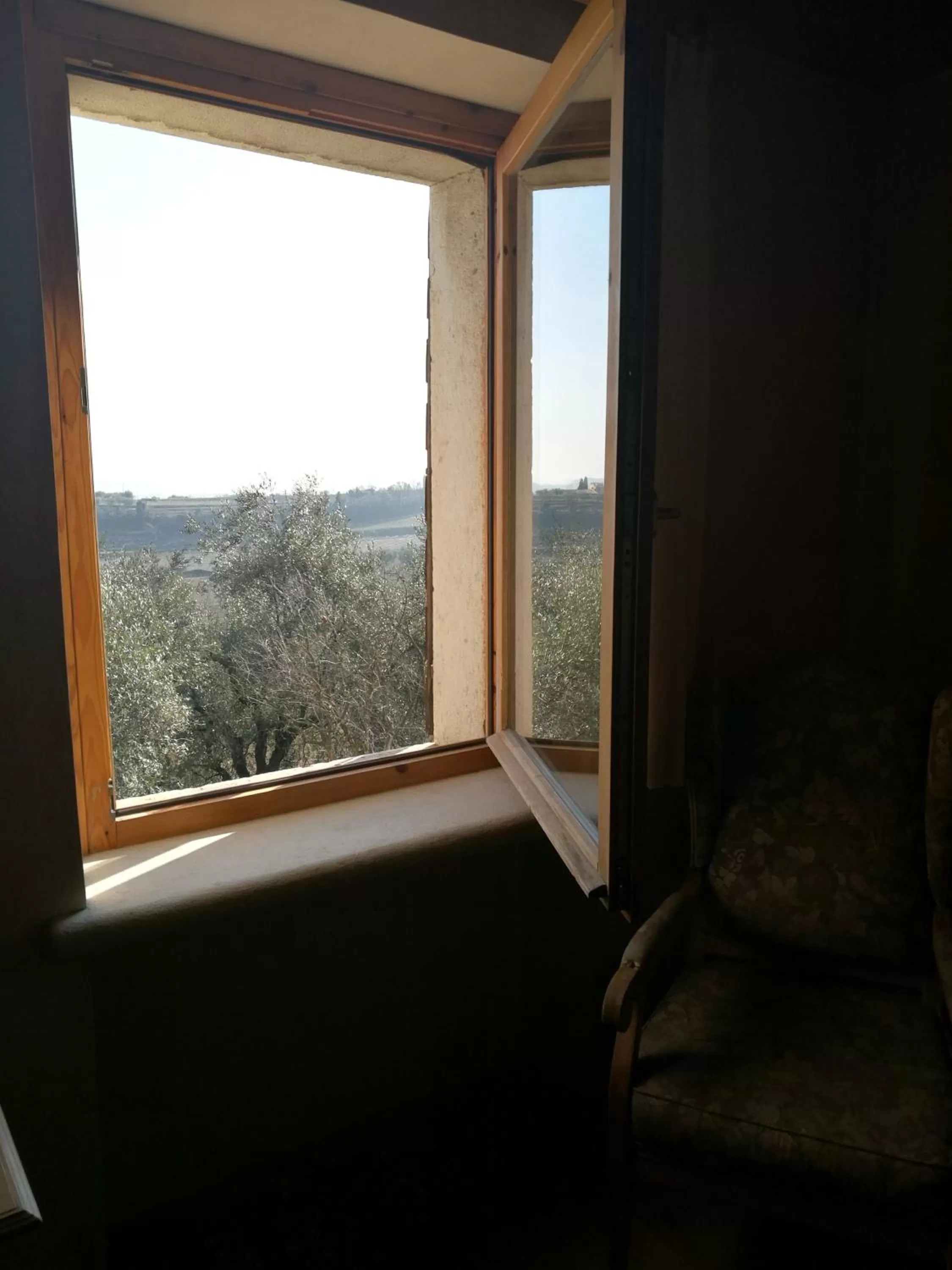 View (from property/room) in Costa degli Ulivi