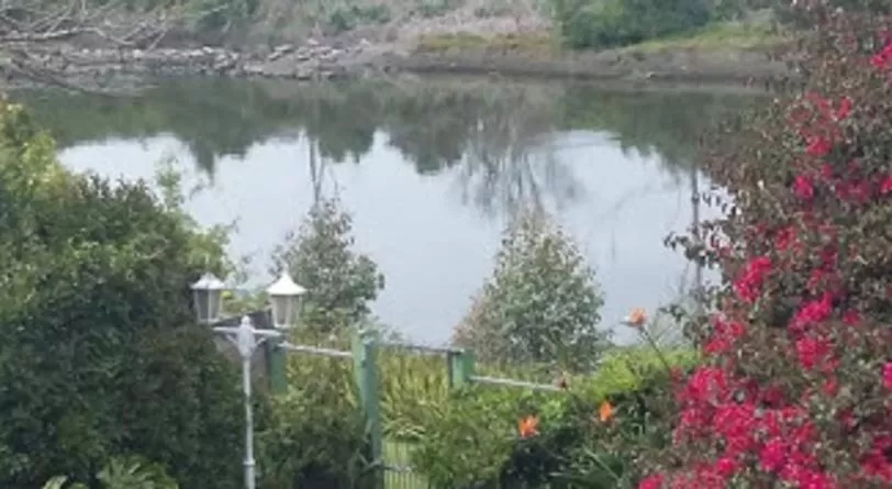 Property building in Forword's River Lodge