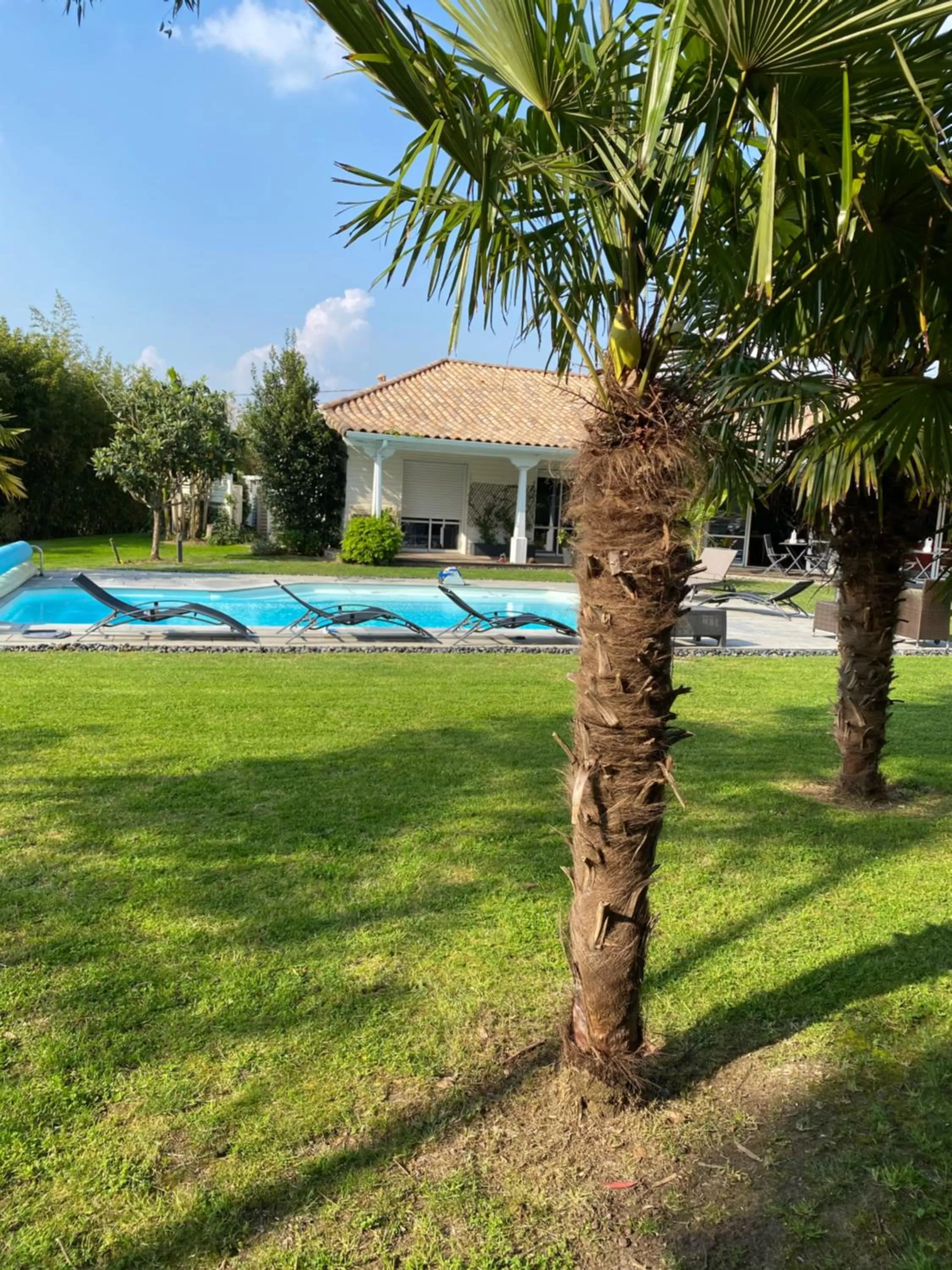 Garden, Swimming Pool in Le Temps des Hôtes