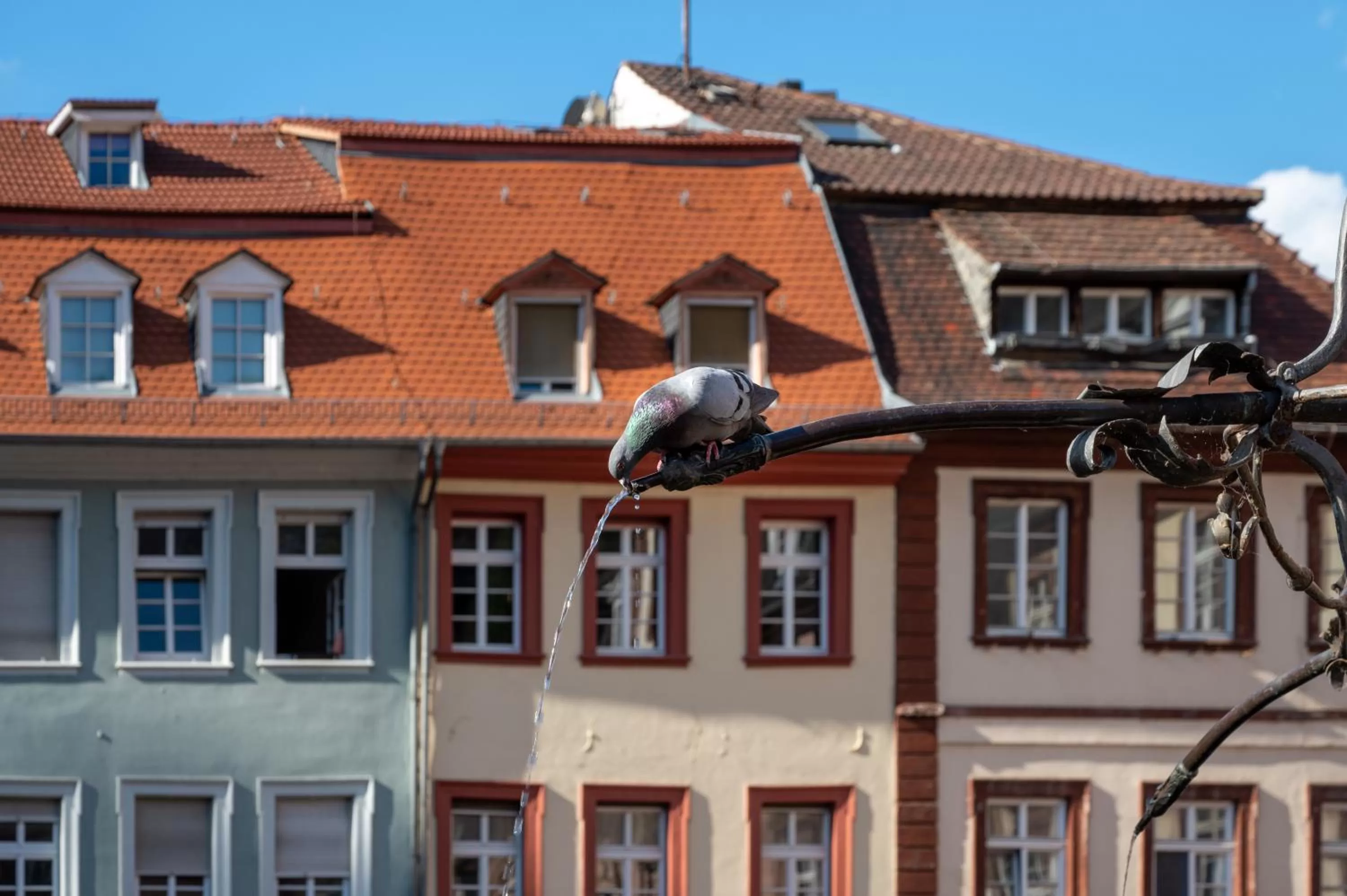 Day in Staycity Aparthotels Heidelberg