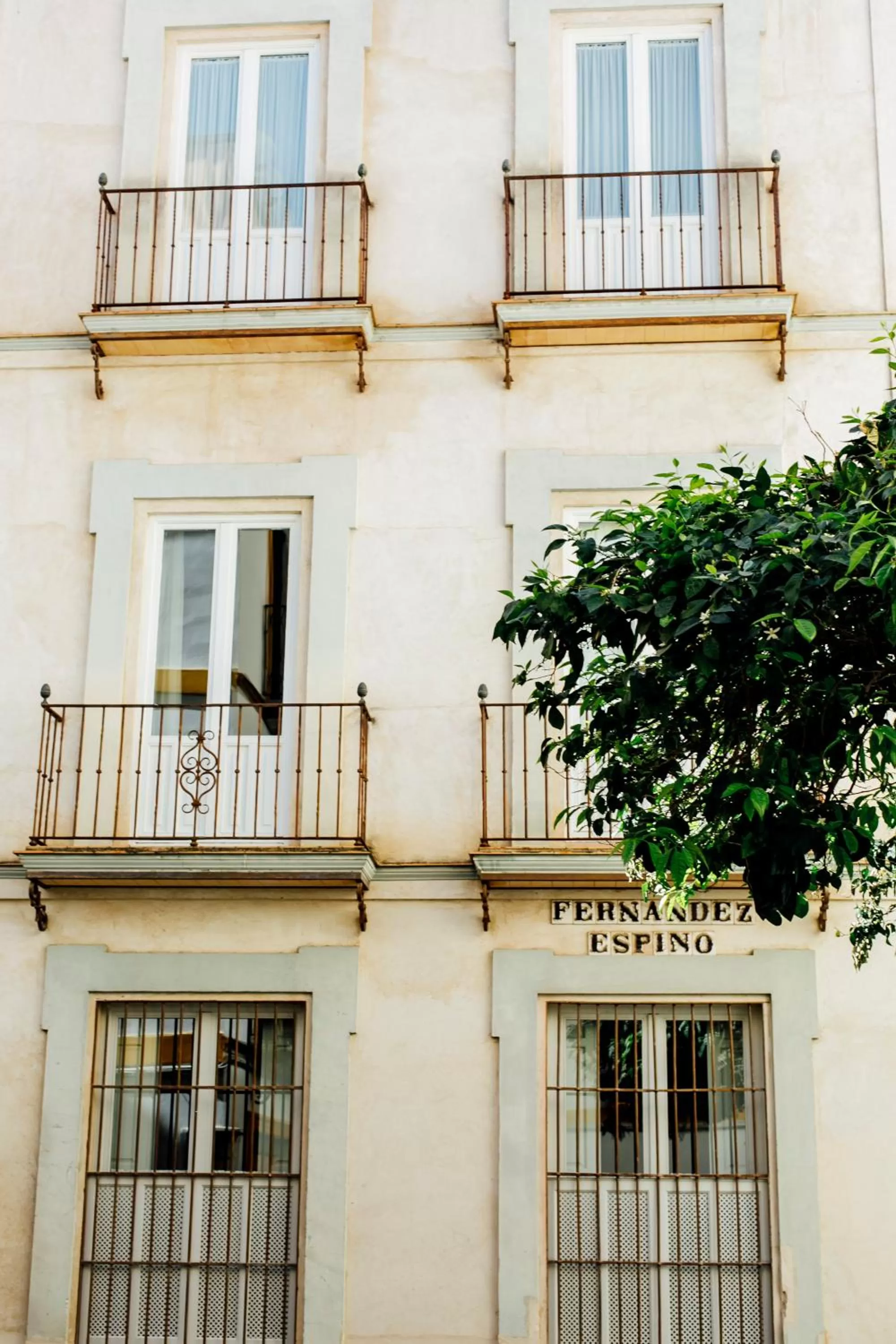 Property building in Casa Patio del Siglo XIX