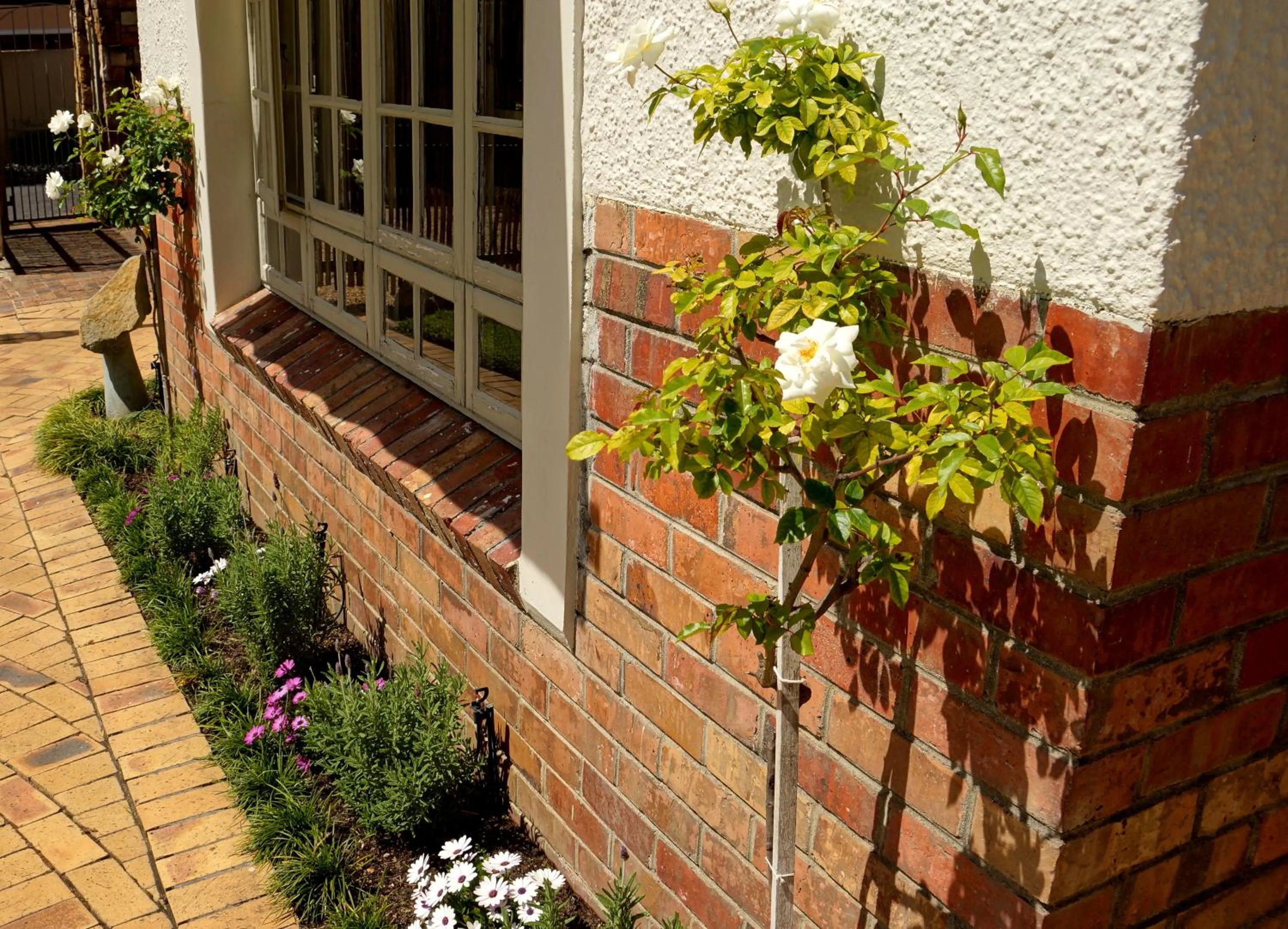 Decorative detail in Wild Olive Guest House & Villa