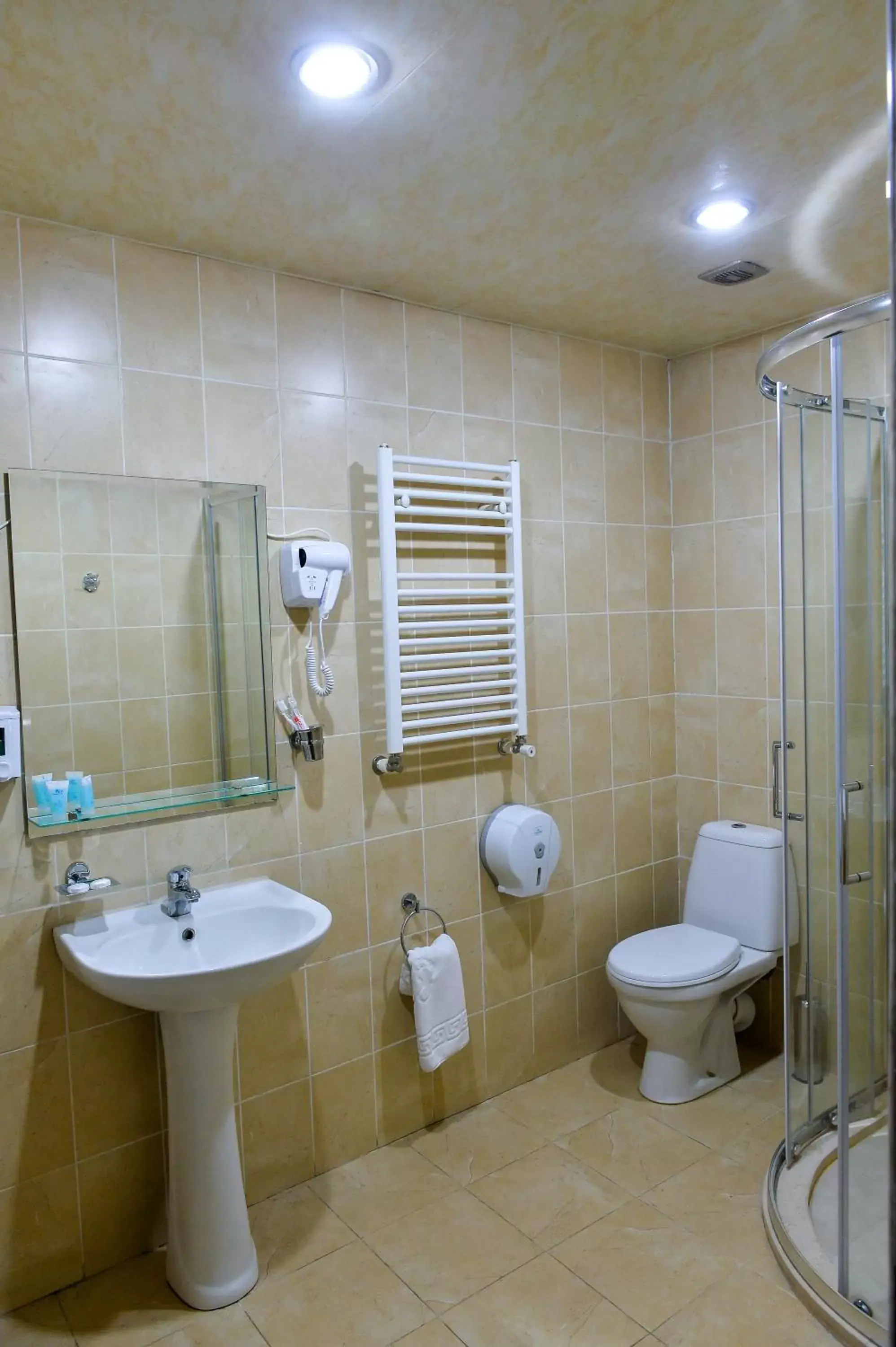 Single Room with Bath in Imereti Health Resort Single Room with Bath in Imereti Health Resort