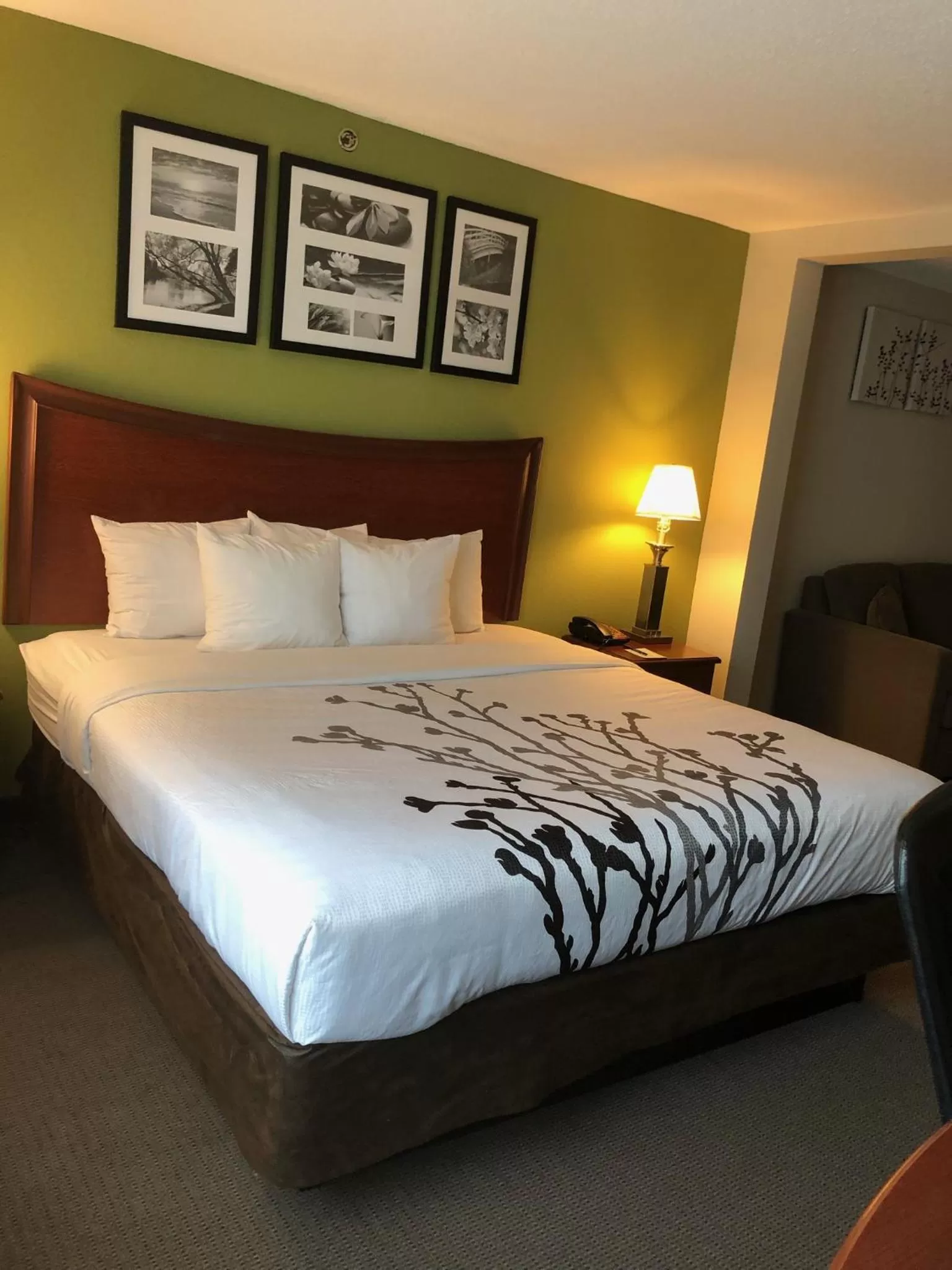 Bed in Sleep Inn & Suites Laurel near Fort Meade