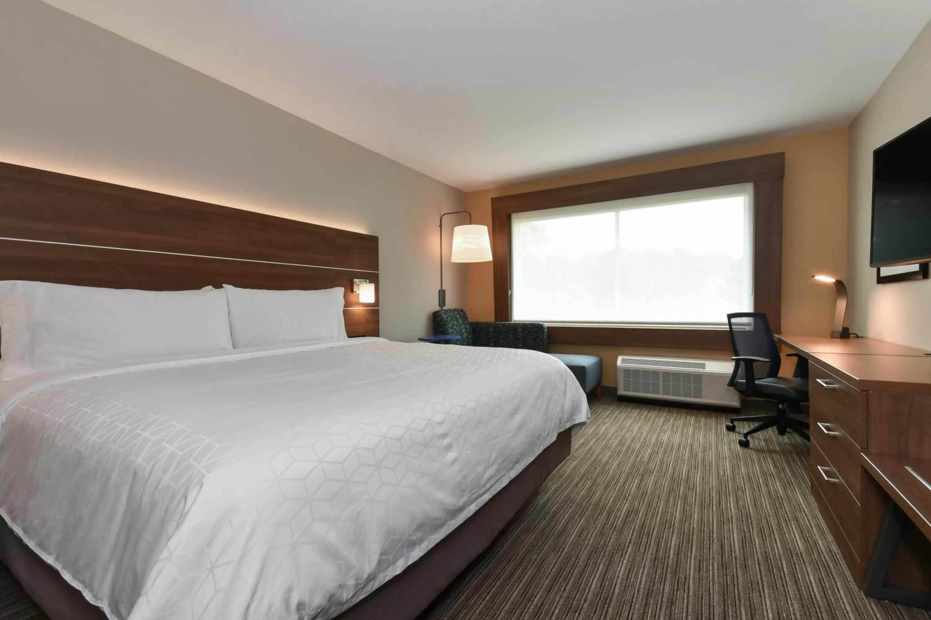 King Room - Hearing Accessible - Non-Smoking in Holiday Inn Express & Suites Charlotte - Ballantyne, an IHG Hotel