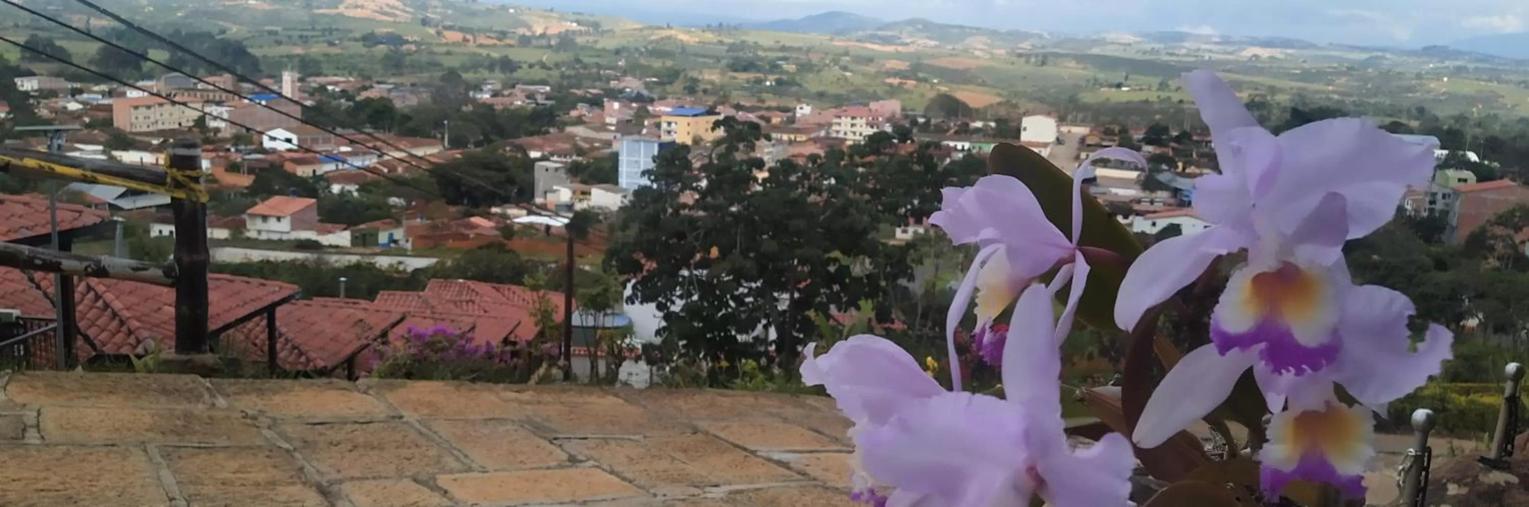 Garden in Hotel Las Rocas Resort Villanueva