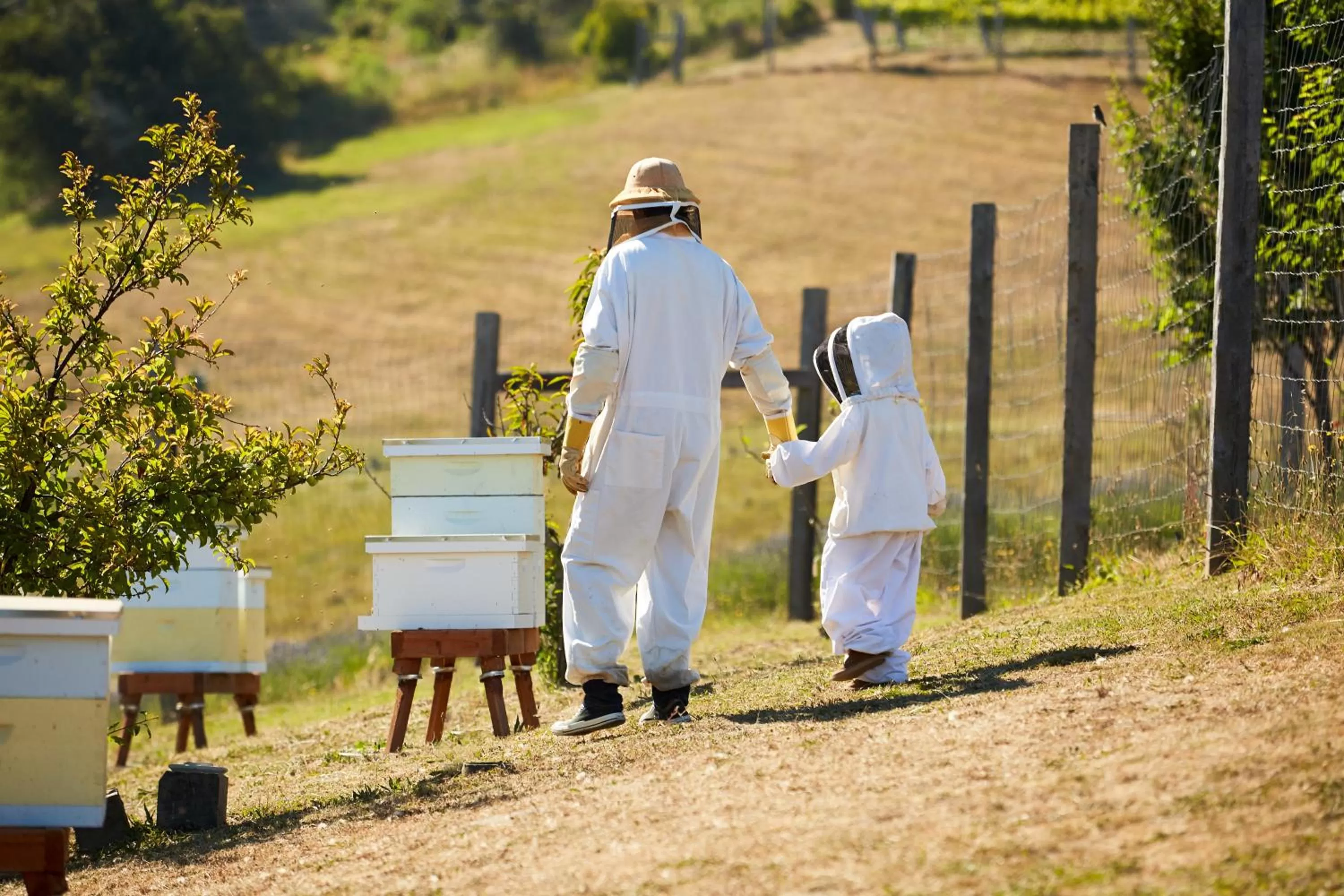 Activities in Carmel Valley Ranch, in The Unbound Collection by Hyatt