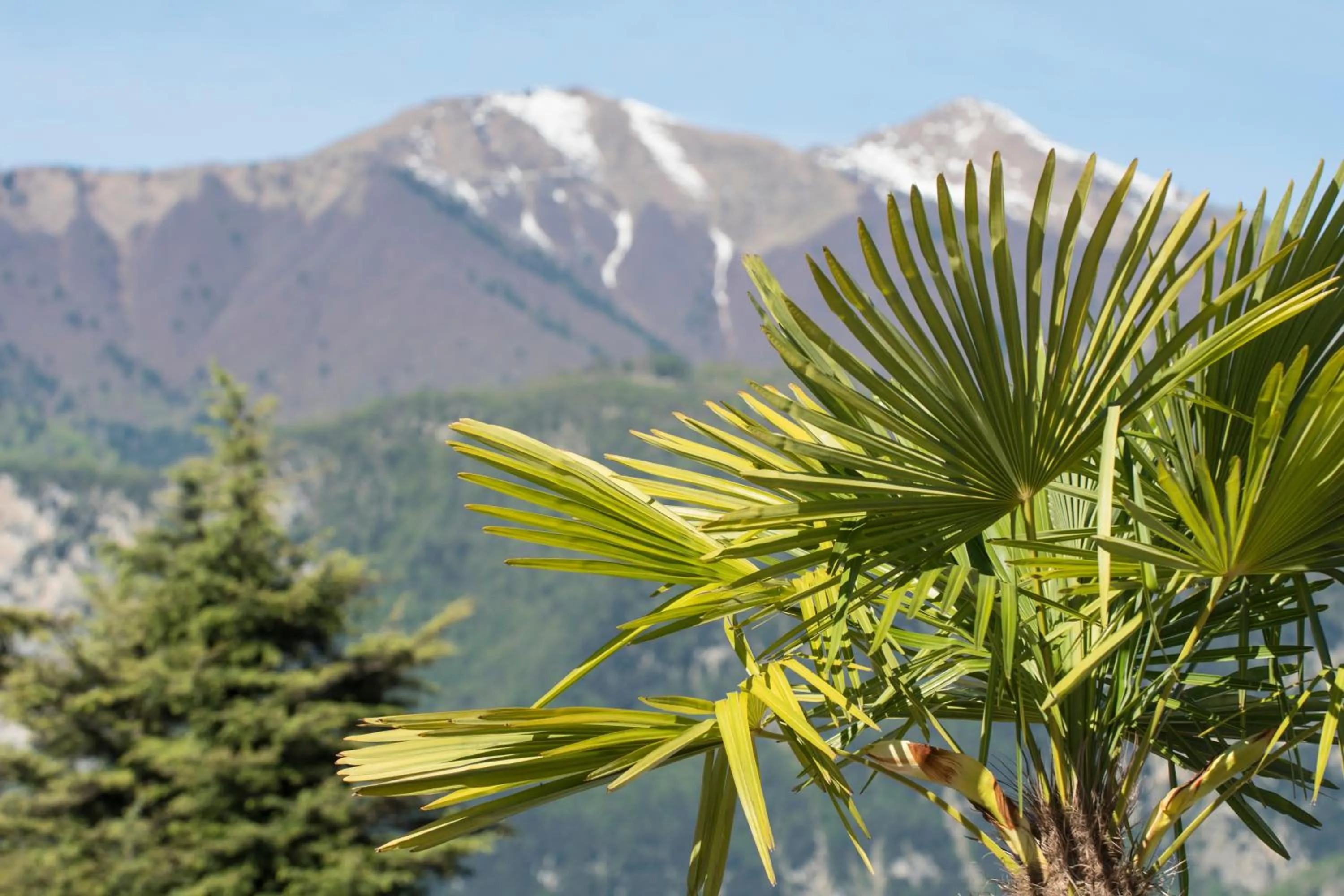 Mountain view in Arco Smart Hotel