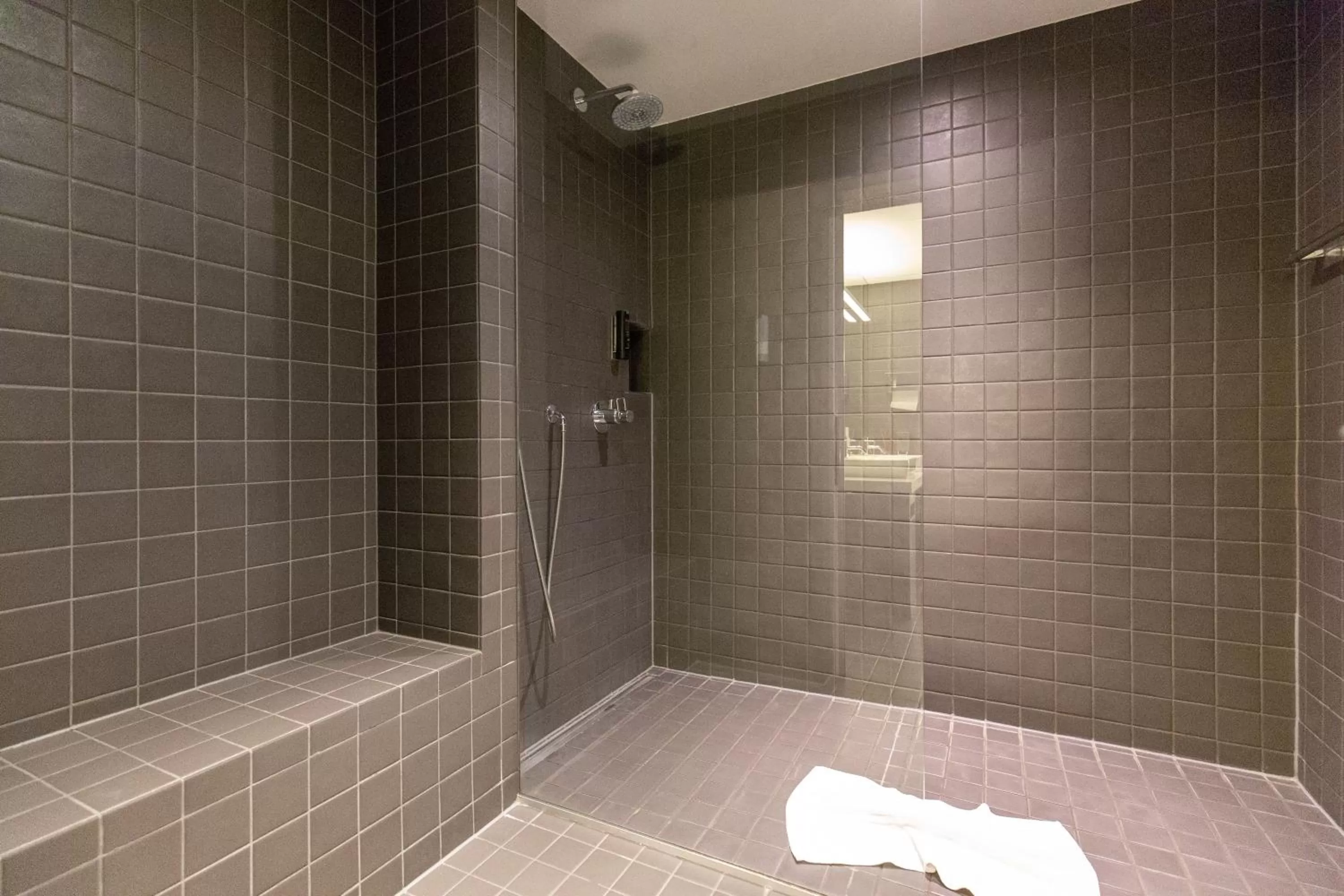 Shower in Hotel by Hyve Basel