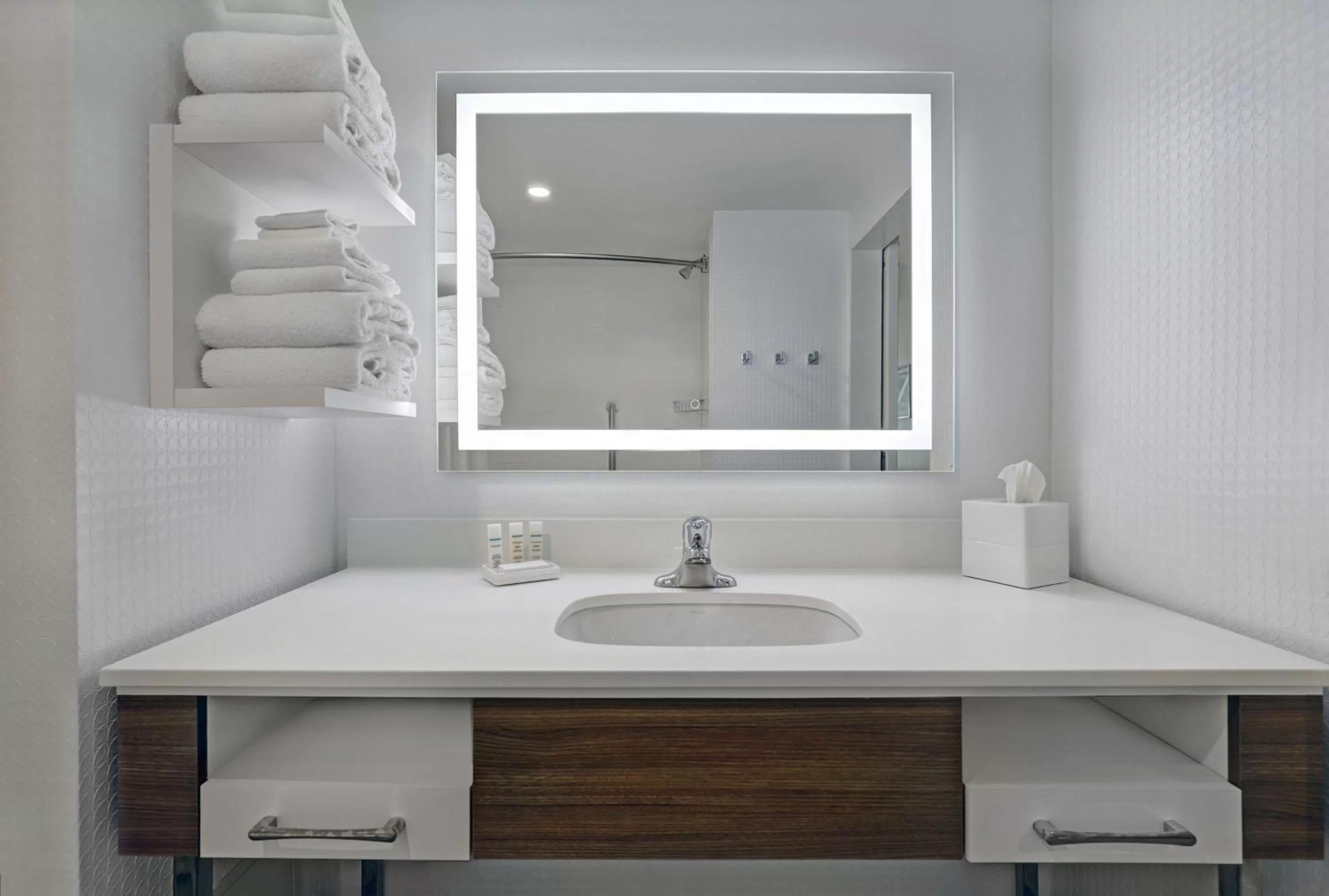 Bathroom in Hampton Inn & Suites Belleville