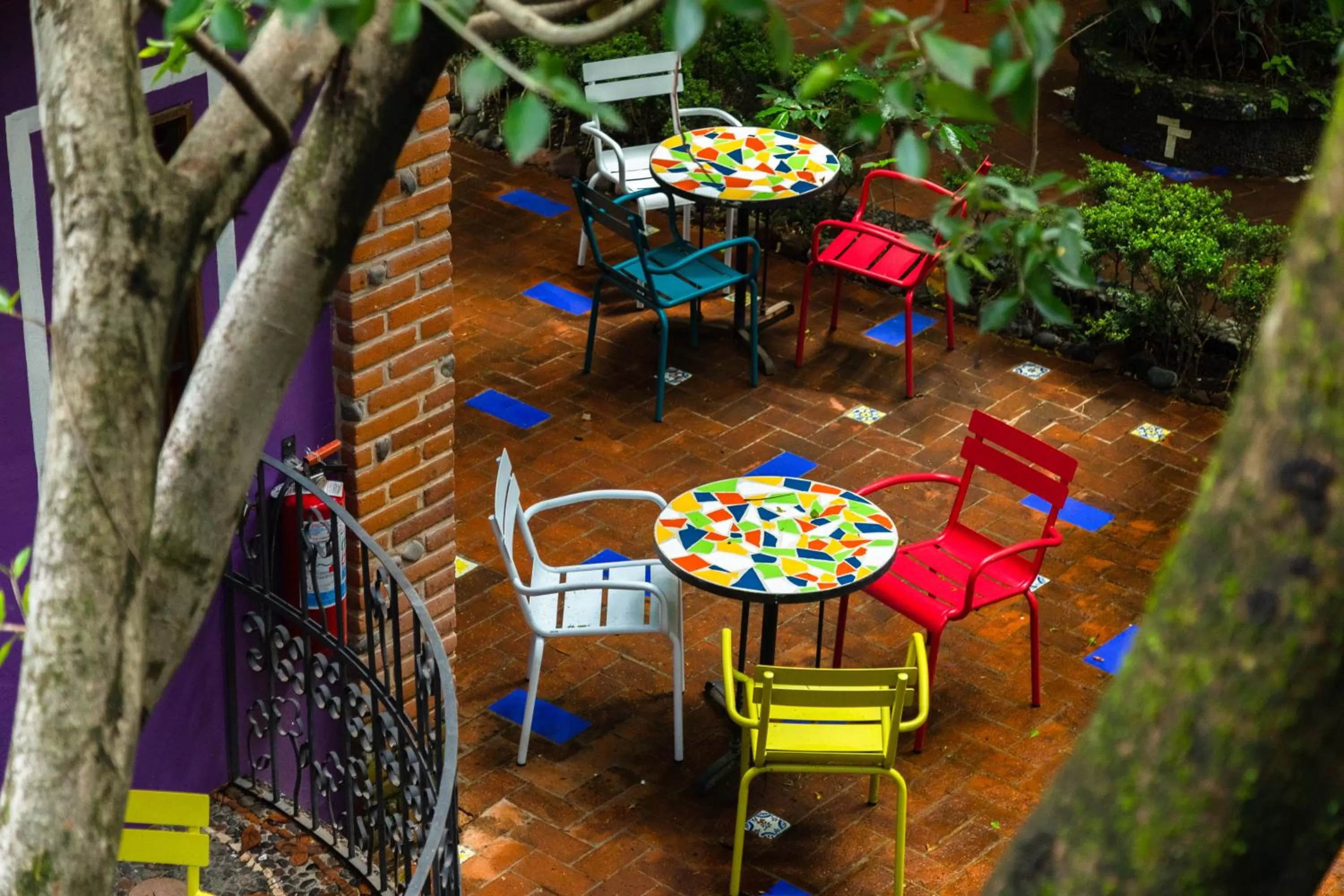 Patio in Hotel La Casa de los Árboles Immersive Experience